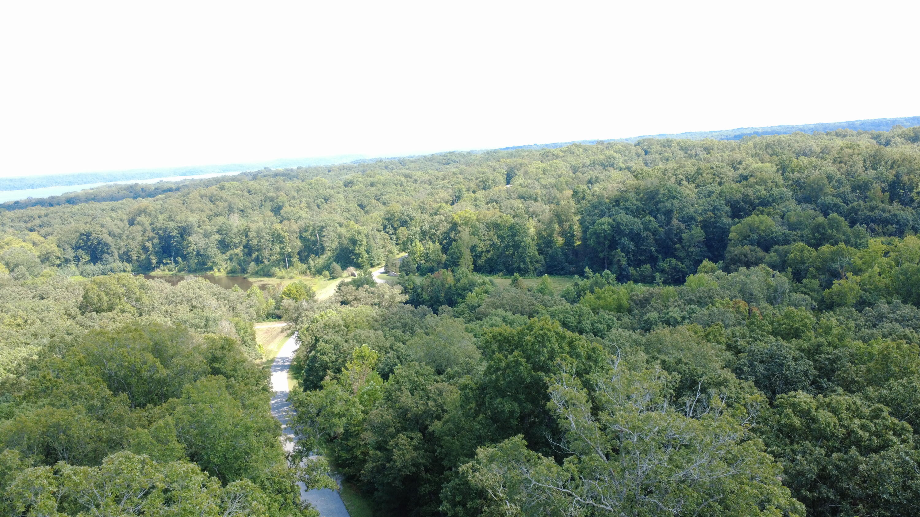 Lot 172 Shine Lane Property Photo 5