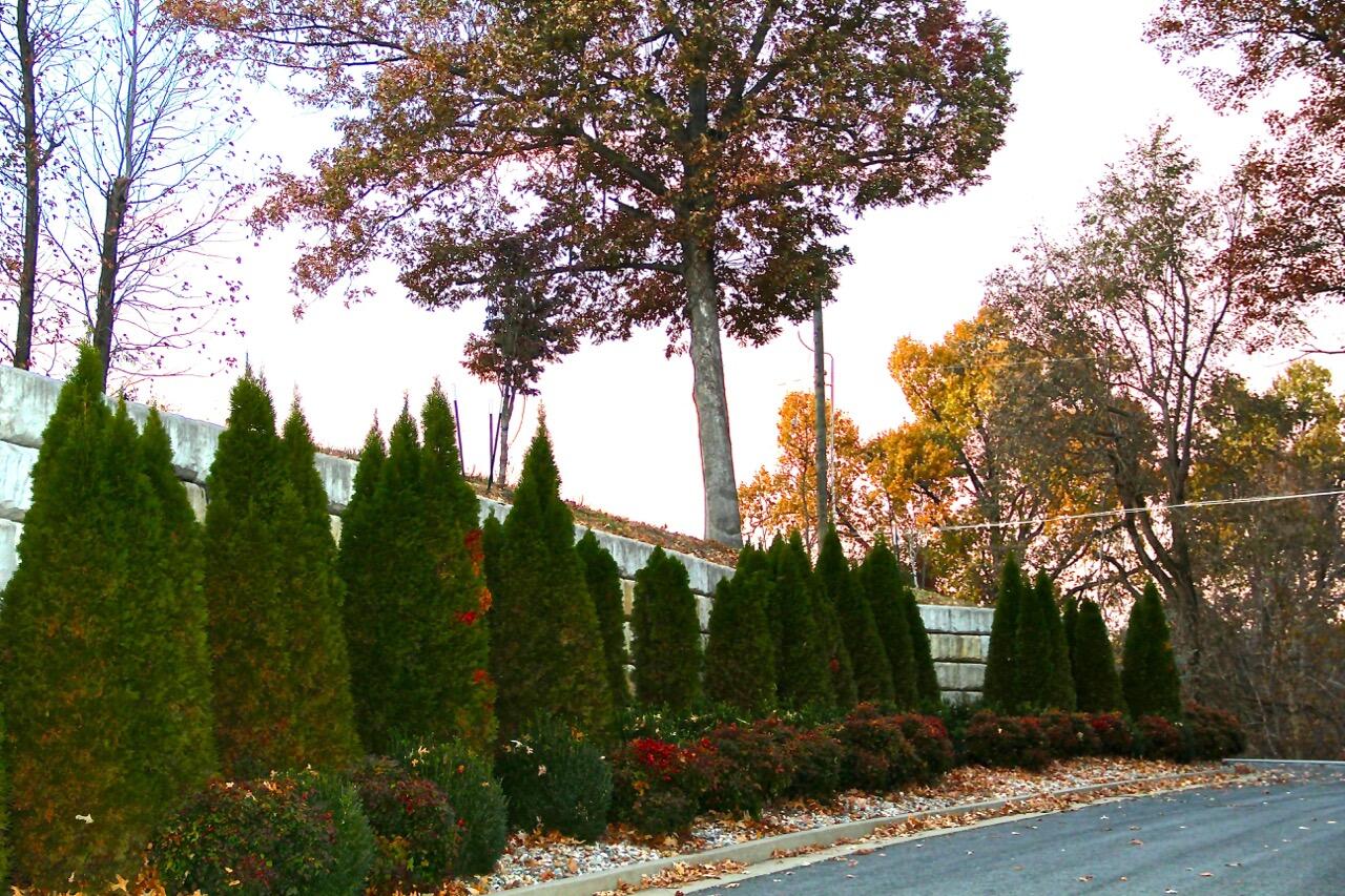 Lot 11 Oak View Lane Property Photo 7