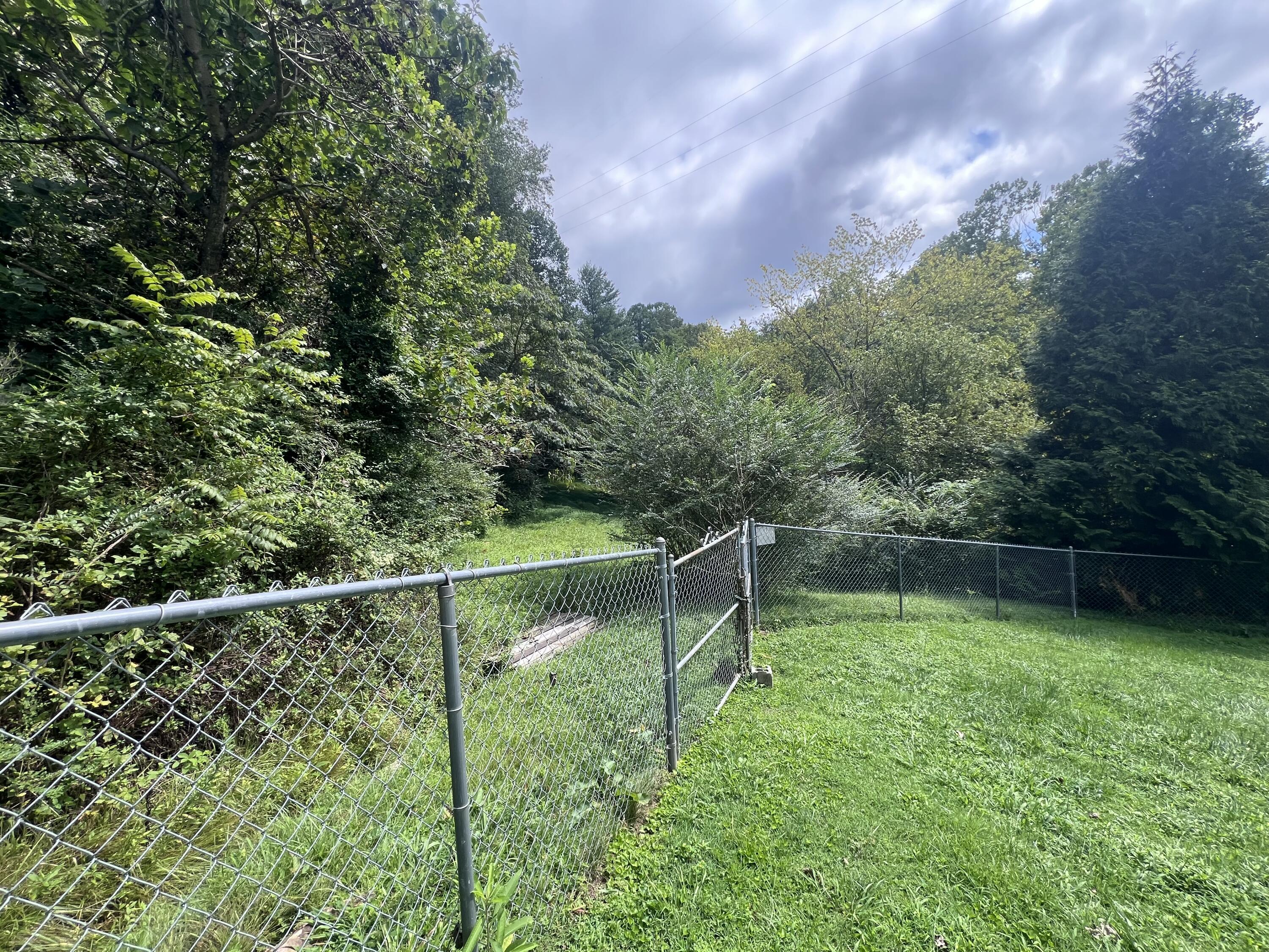 341 Long Branch Right Fork Road Property Photo 15