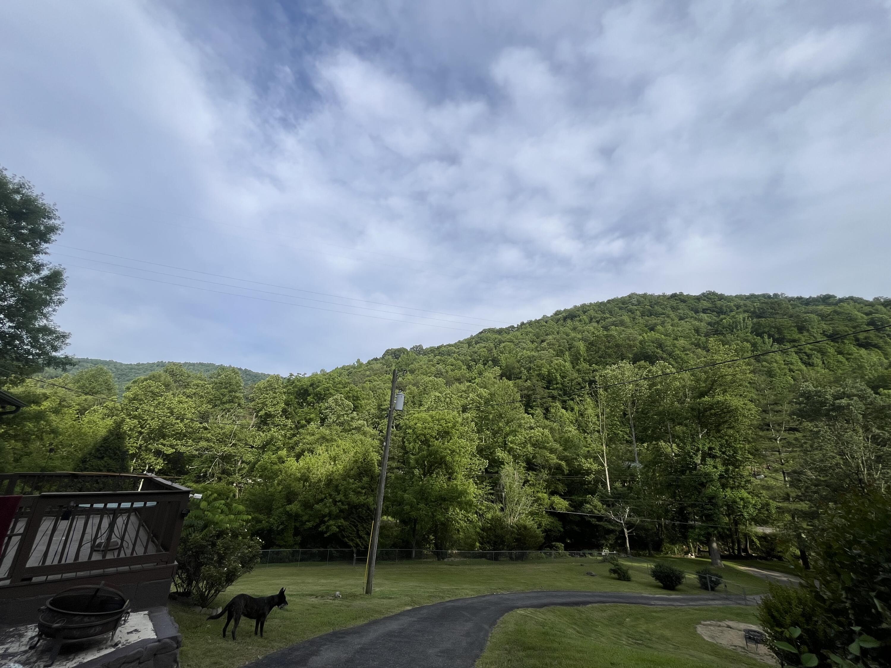 341 Long Branch Right Fork Road Property Photo 19
