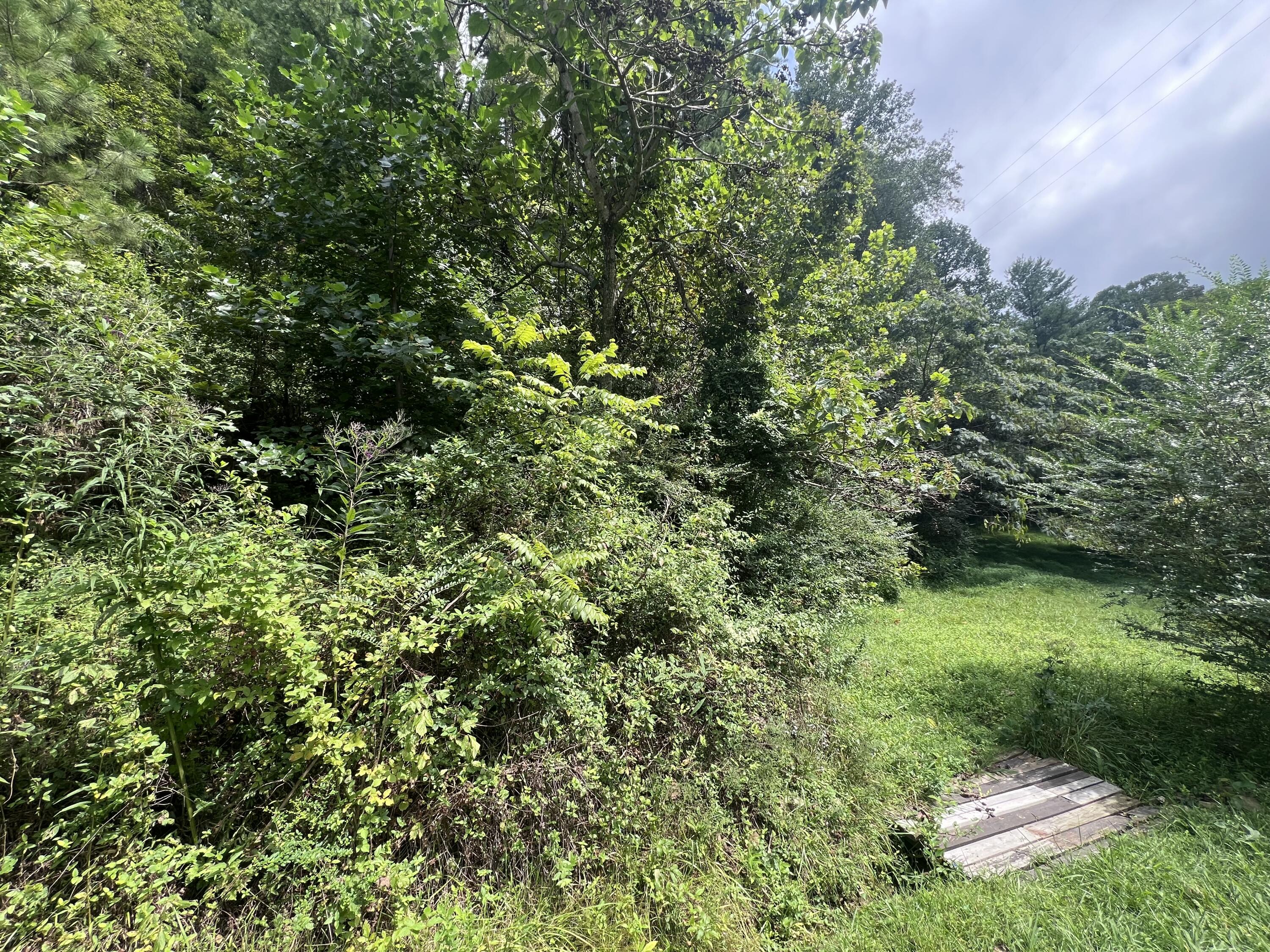 341 Long Branch Right Fork Road Property Photo 19