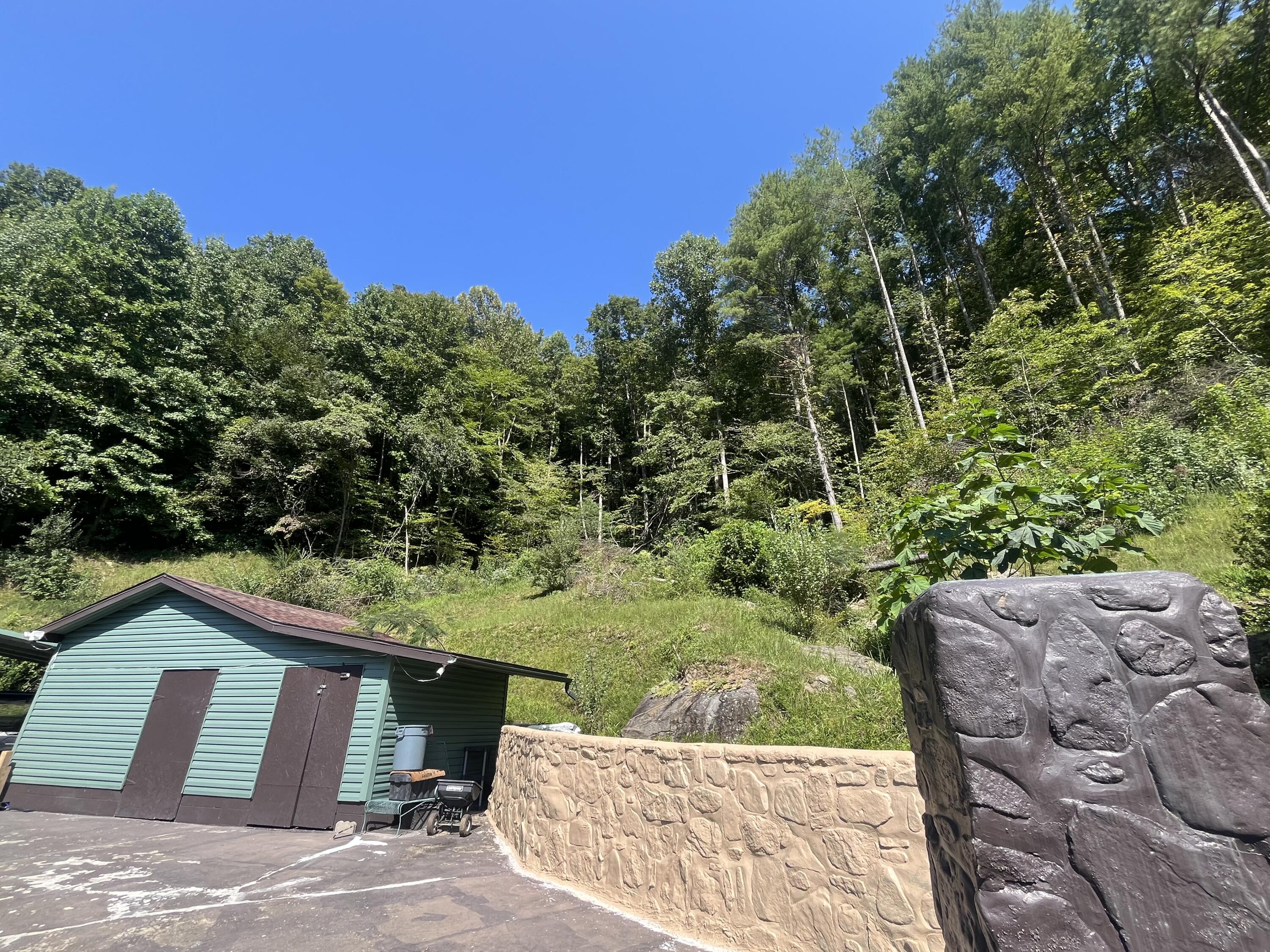 341 Long Branch Right Fork Road Property Photo 25