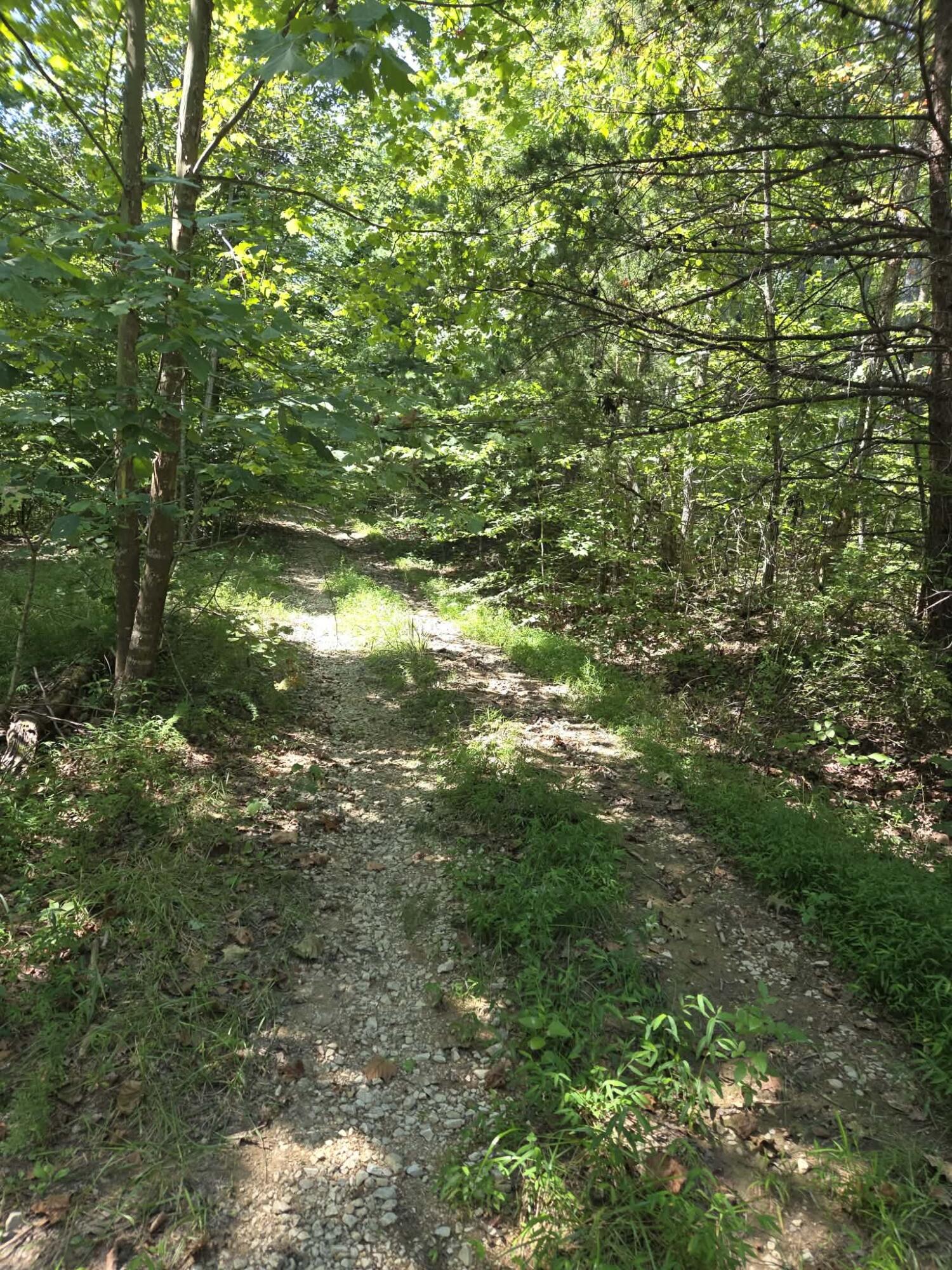 2096 State Highway 1036 Property Photo 1