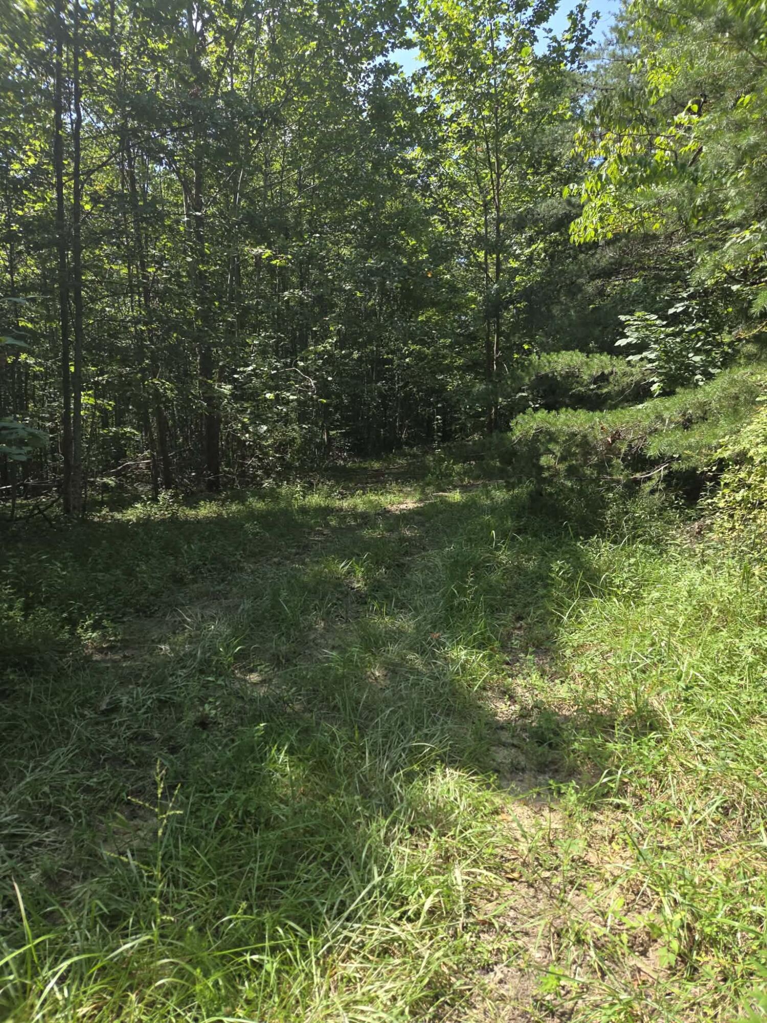 2096 State Highway 1036 Property Photo 2