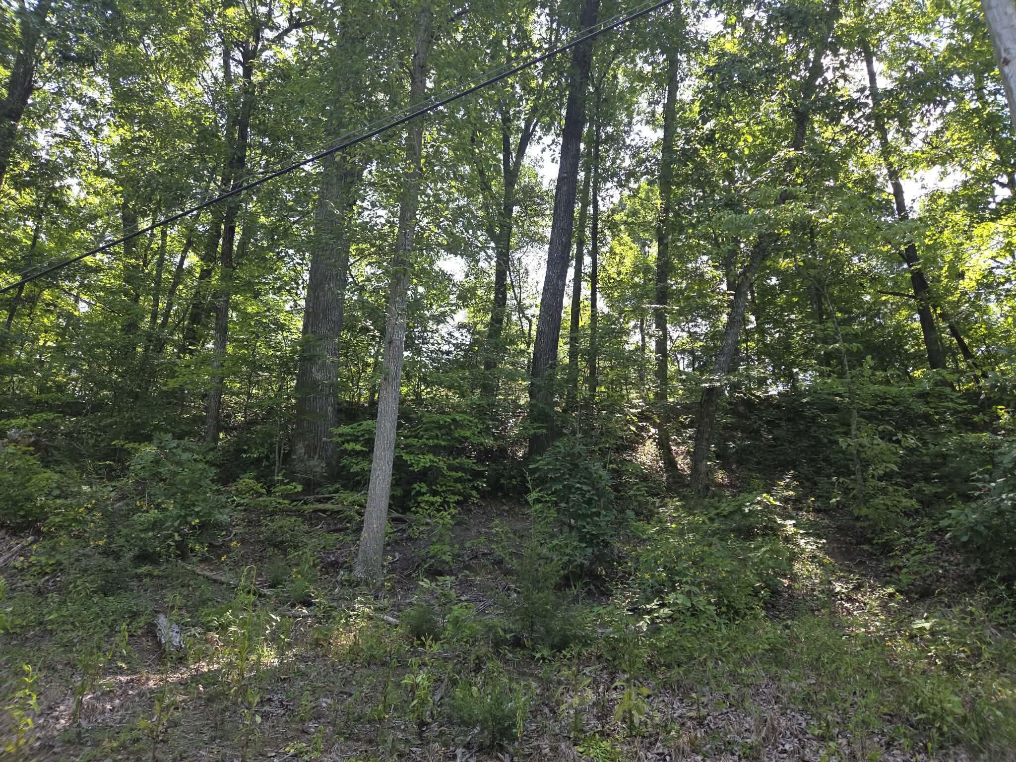 2096 State Highway 1036 Property Photo 3