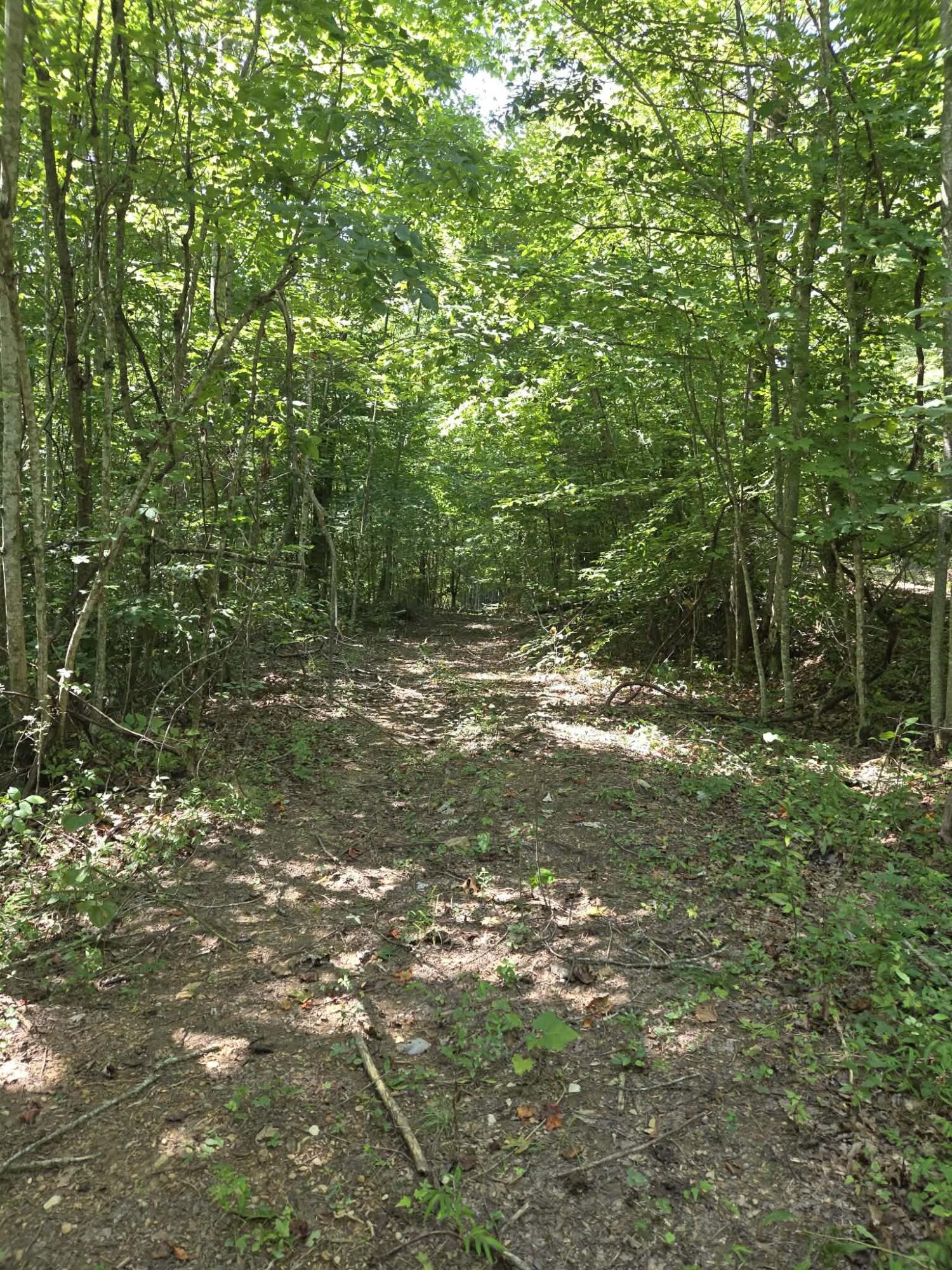 2096 State Highway 1036 Property Photo 4