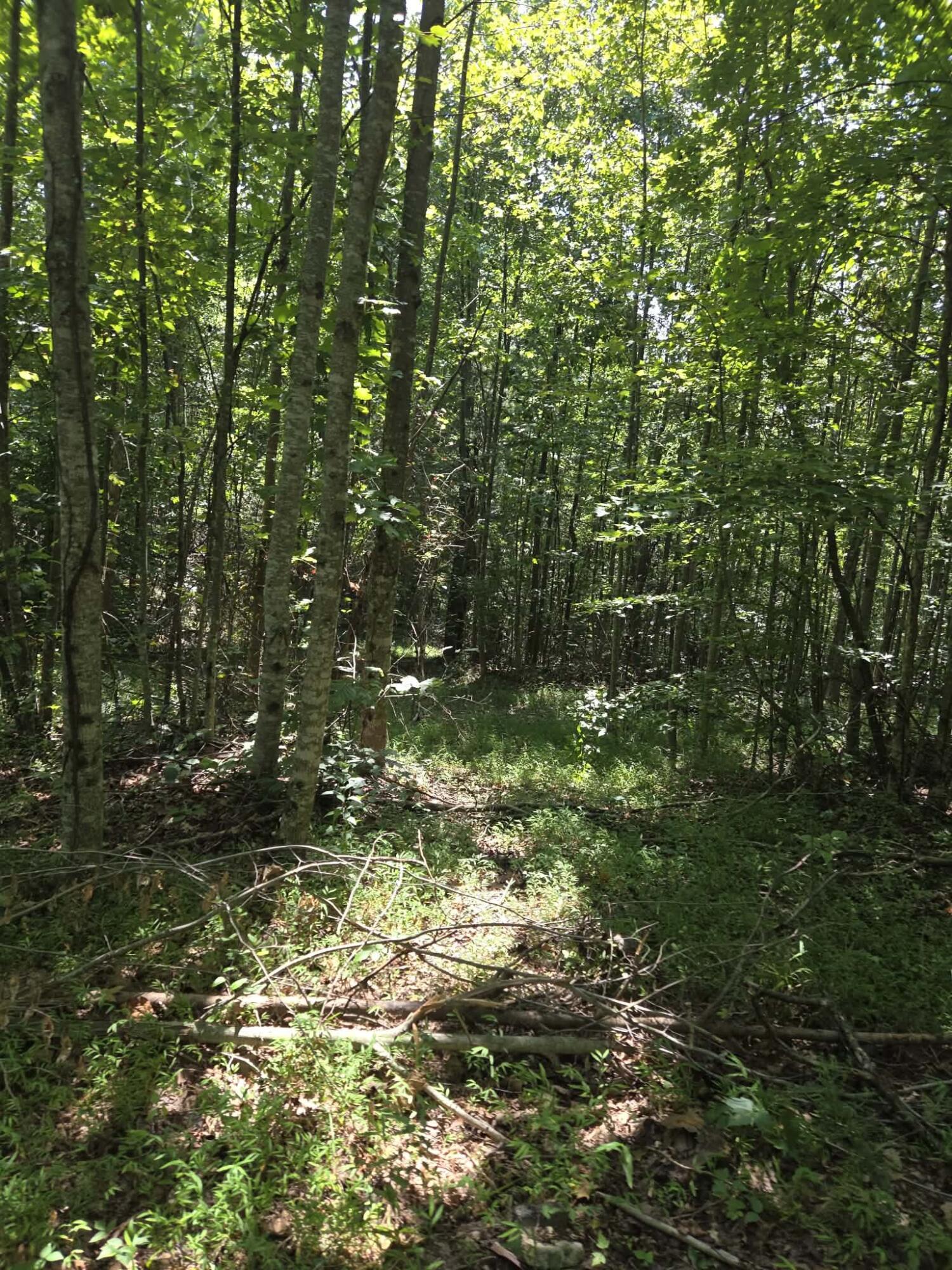 2096 State Highway 1036 Property Photo 5