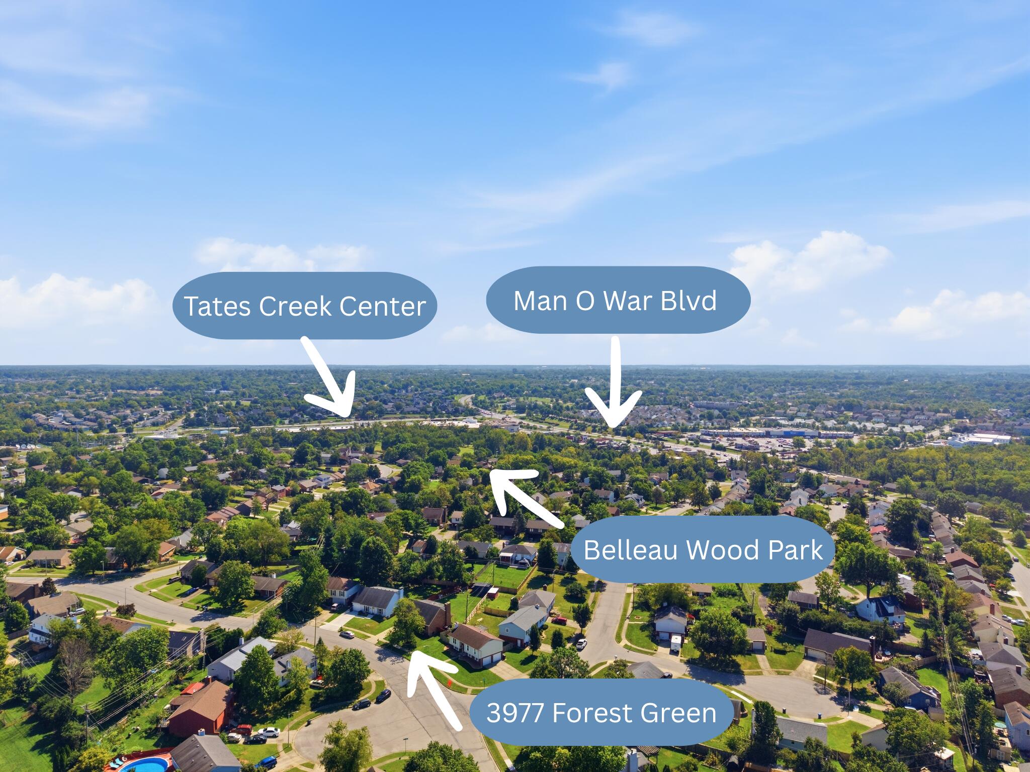3977 Forest Green Drive Property Photo 45