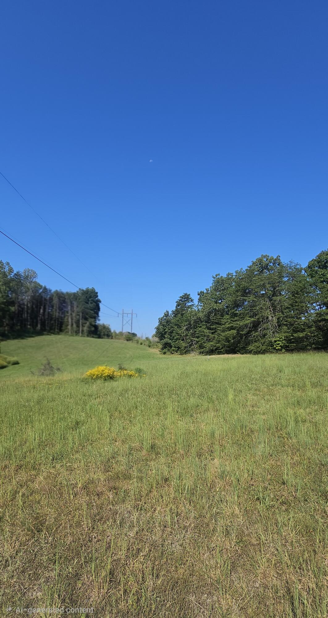 0 Trenton Court Property Photo 3