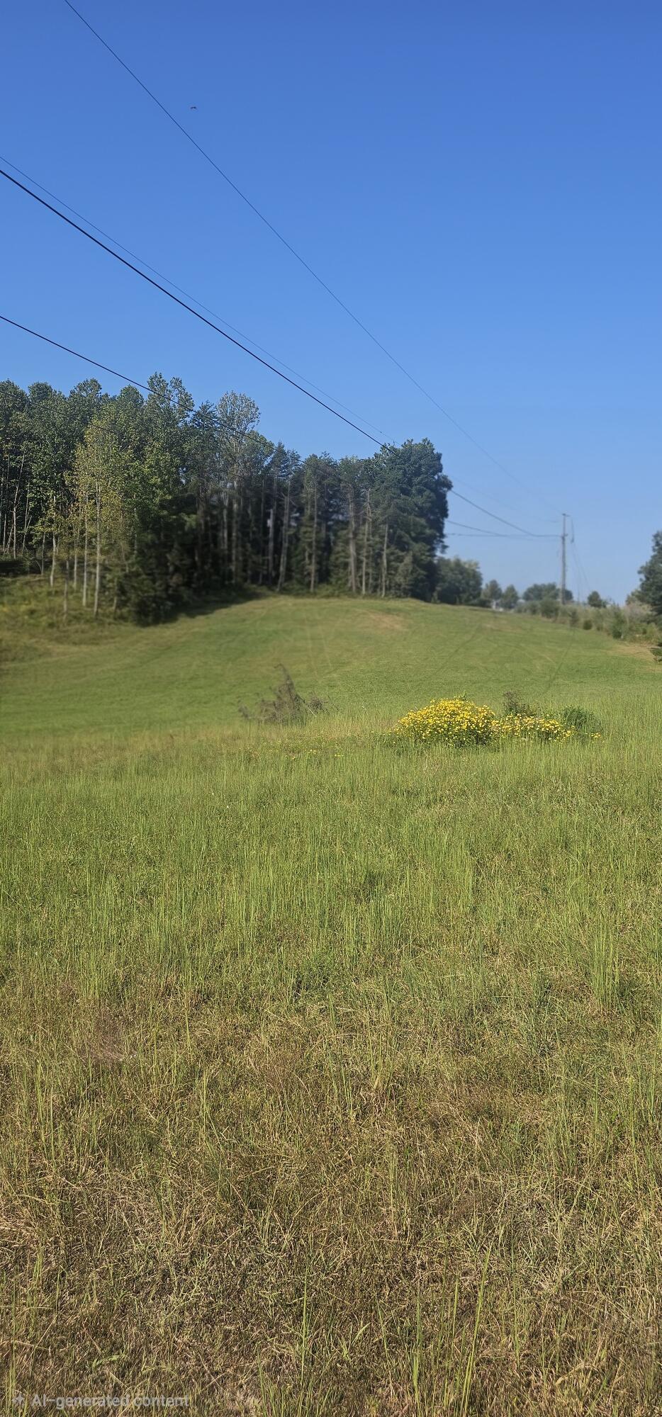 0 Trenton Court Property Photo 4