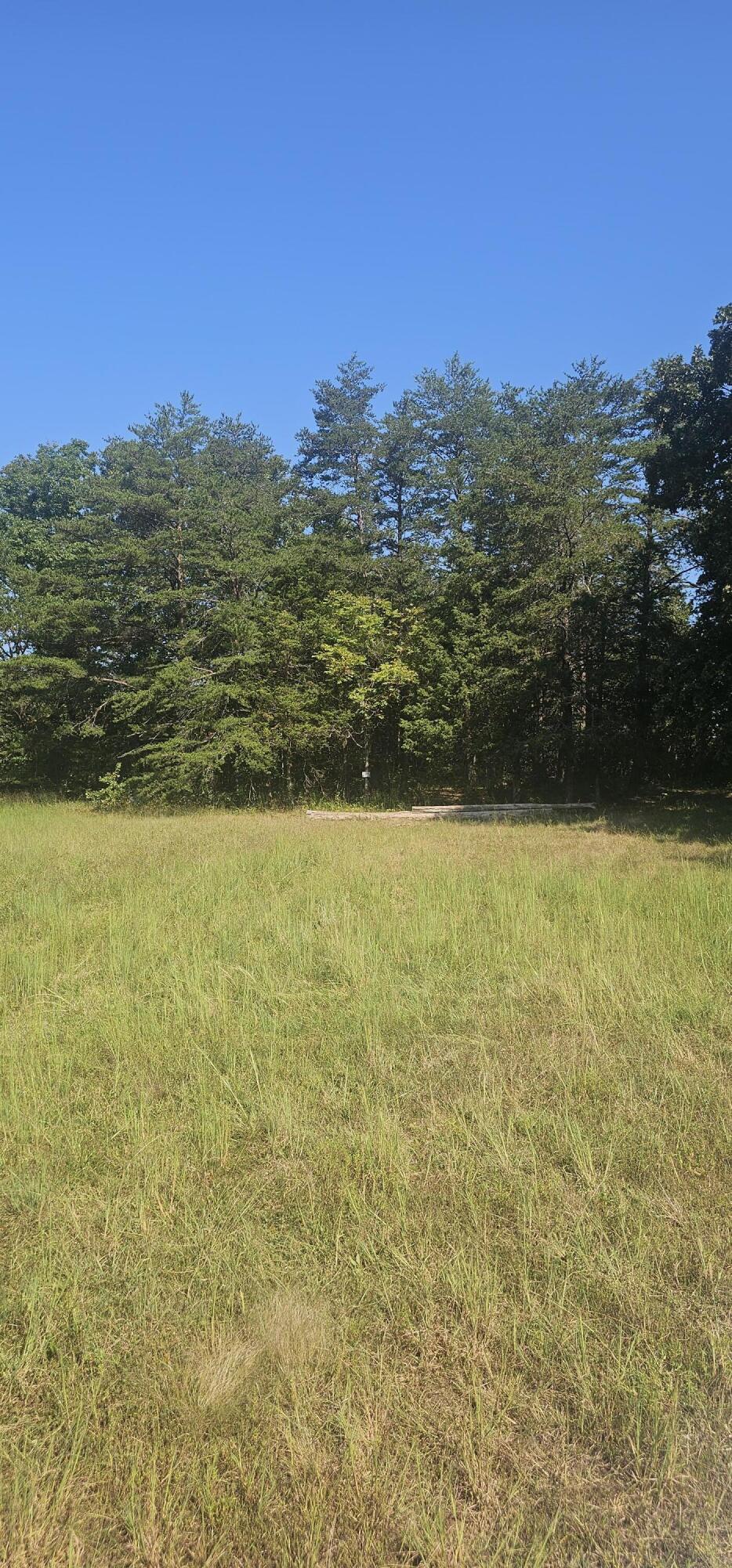 0 Trenton Court Property Photo 6