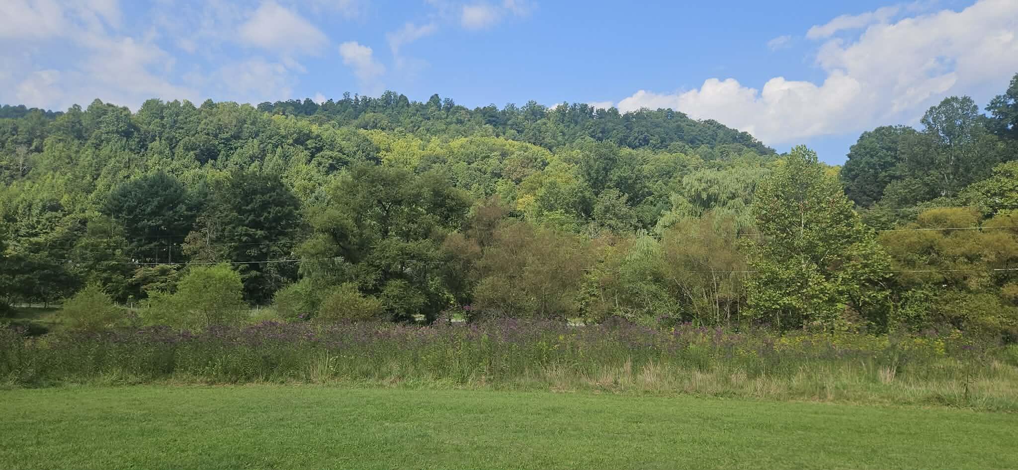 21267 State Highway 190 Property Photo 5