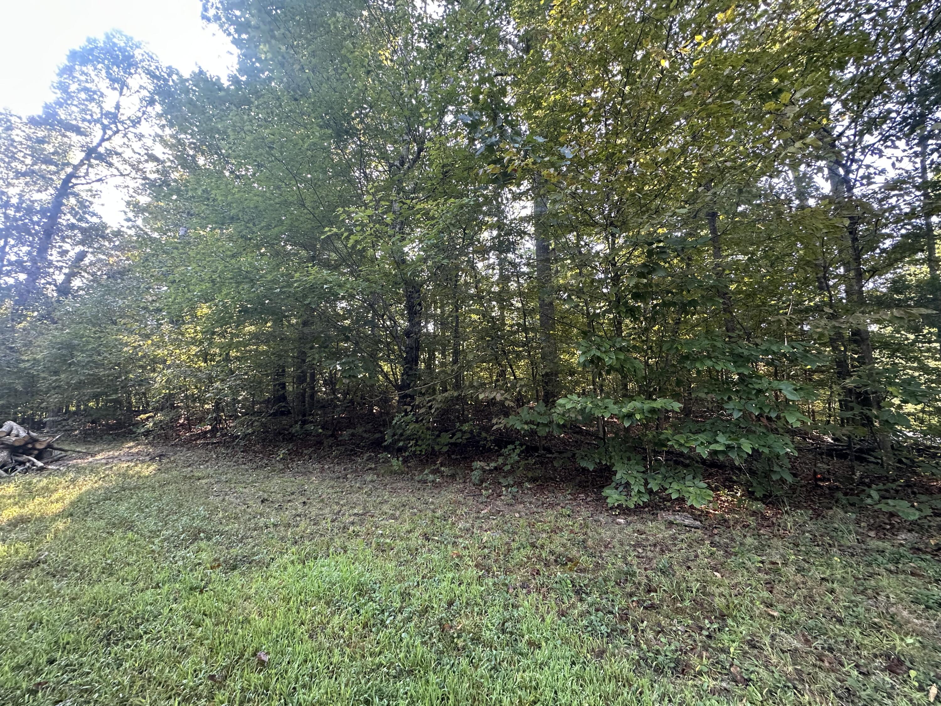 105b-719-724 Ky Lake Dev Haner Lane Property Photo 2