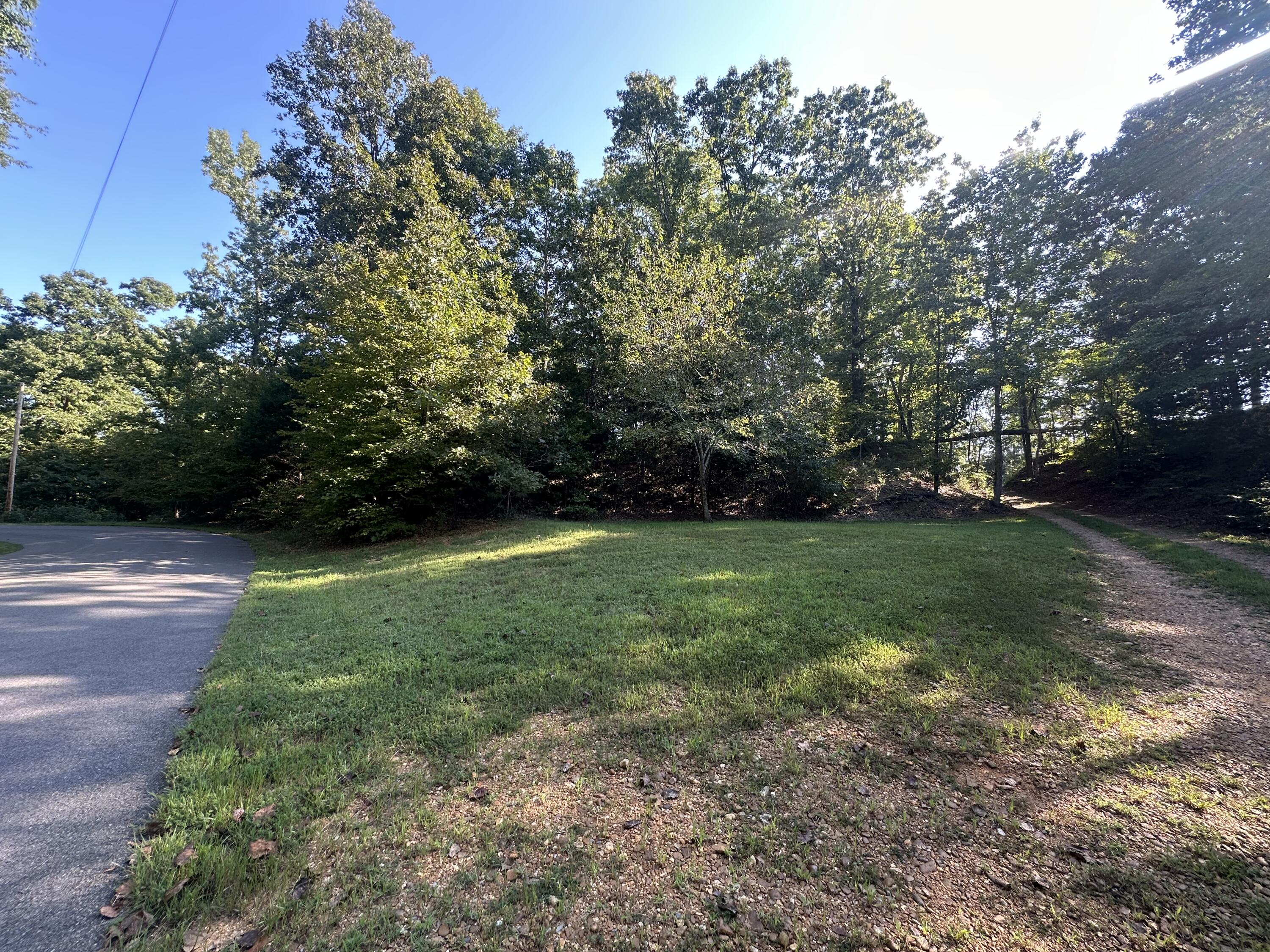 105b-719-724 Ky Lake Dev Haner Lane Property Photo 4