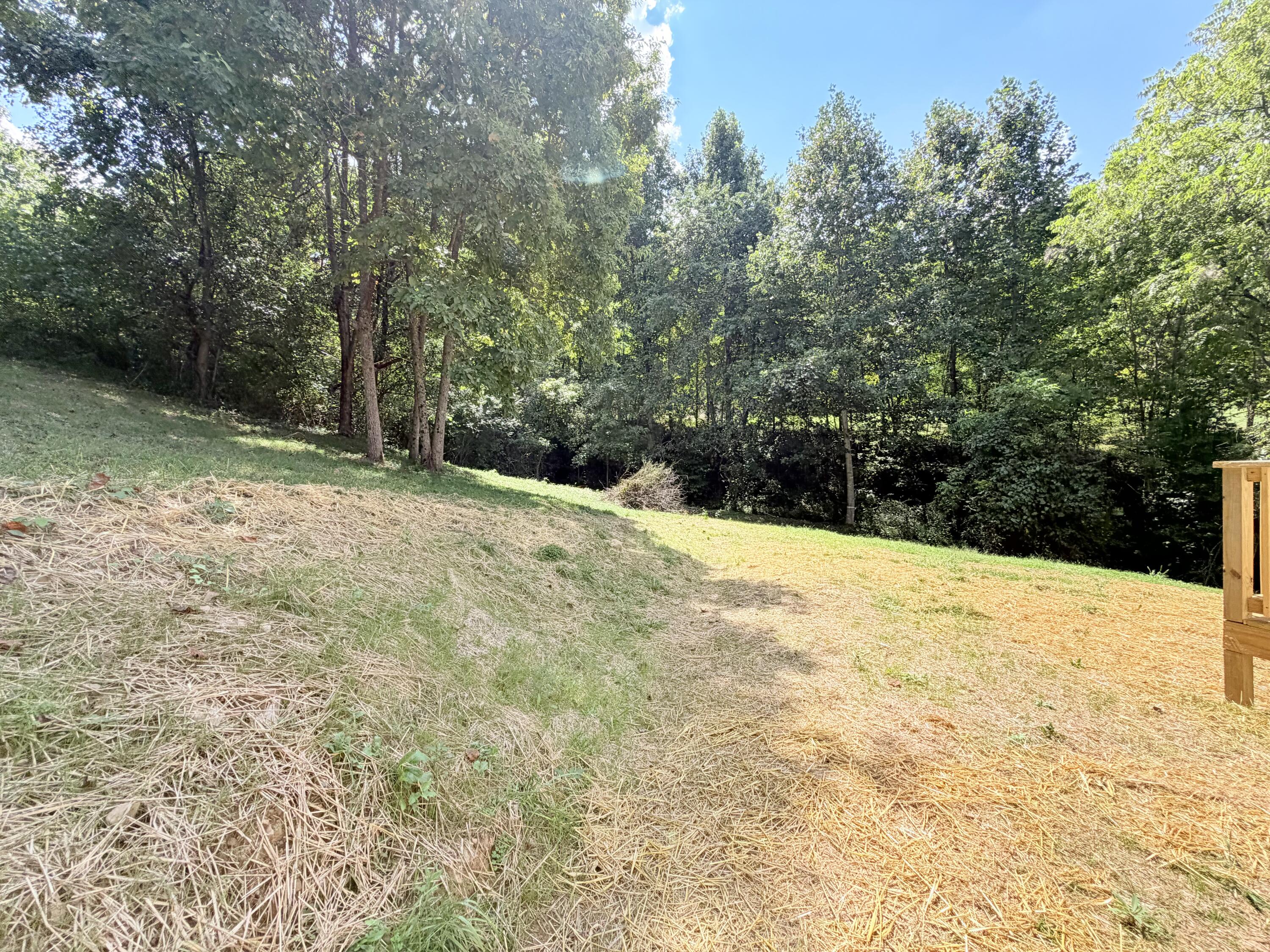 40 Sandstone Drive Property Photo 22