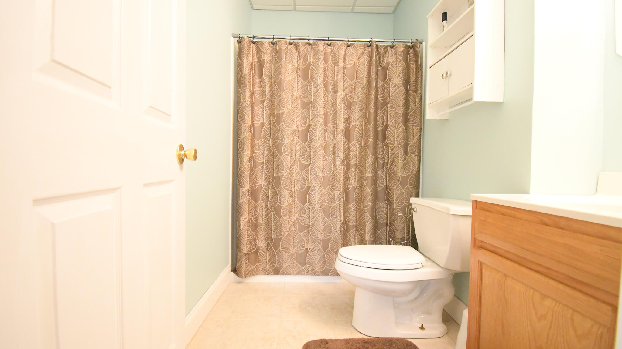 1019 Griffin Drive Property Photo 58