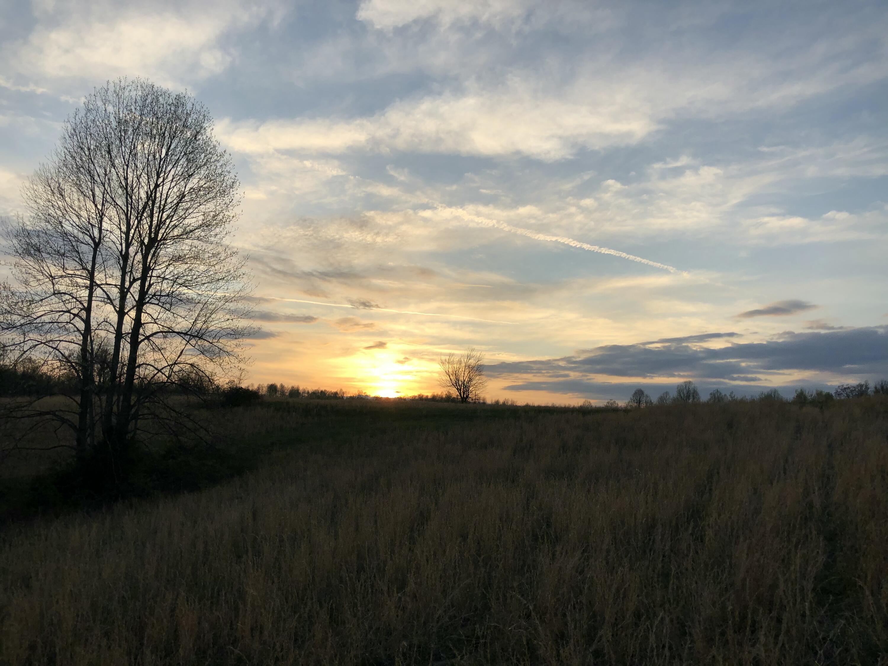 1350 Cream Ridge Road Property Photo 2