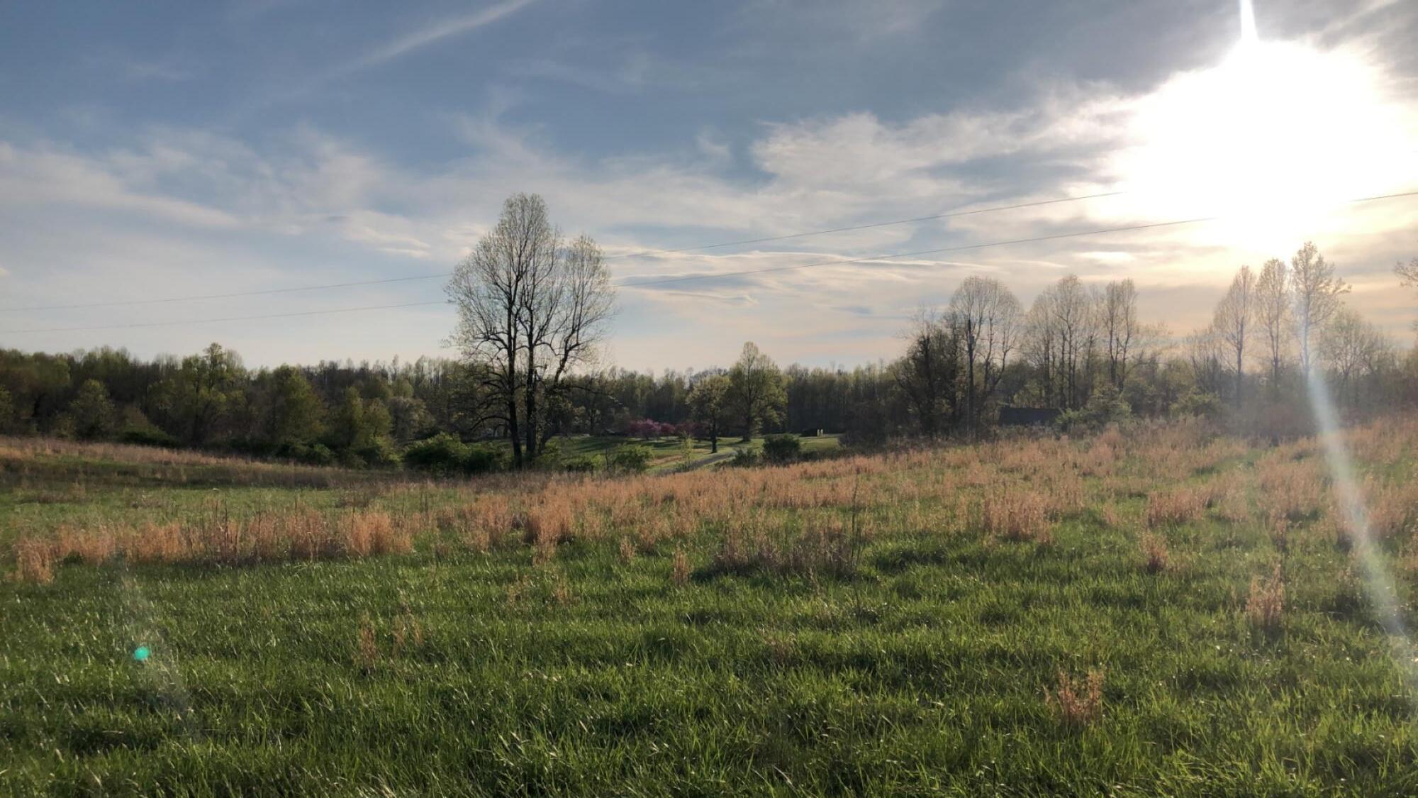 1350 Cream Ridge Road Property Photo 4