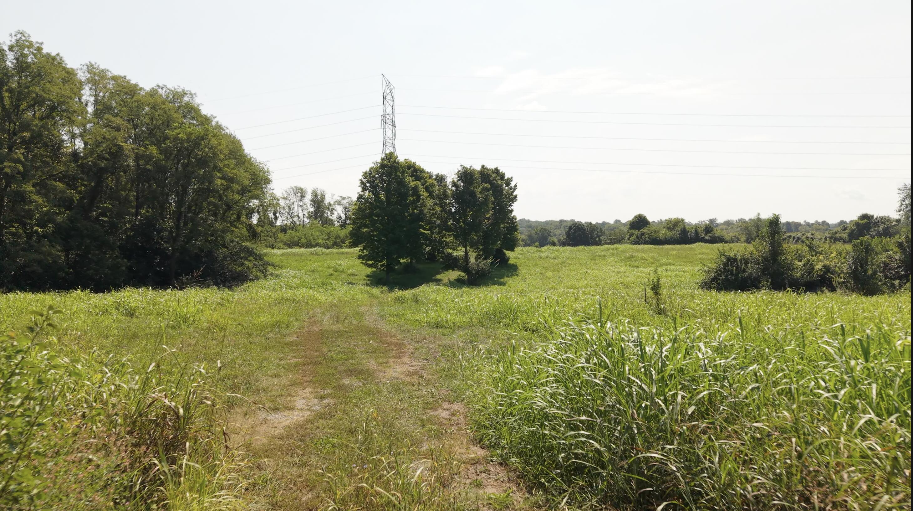 389-395 Campground Lane Property Photo 8