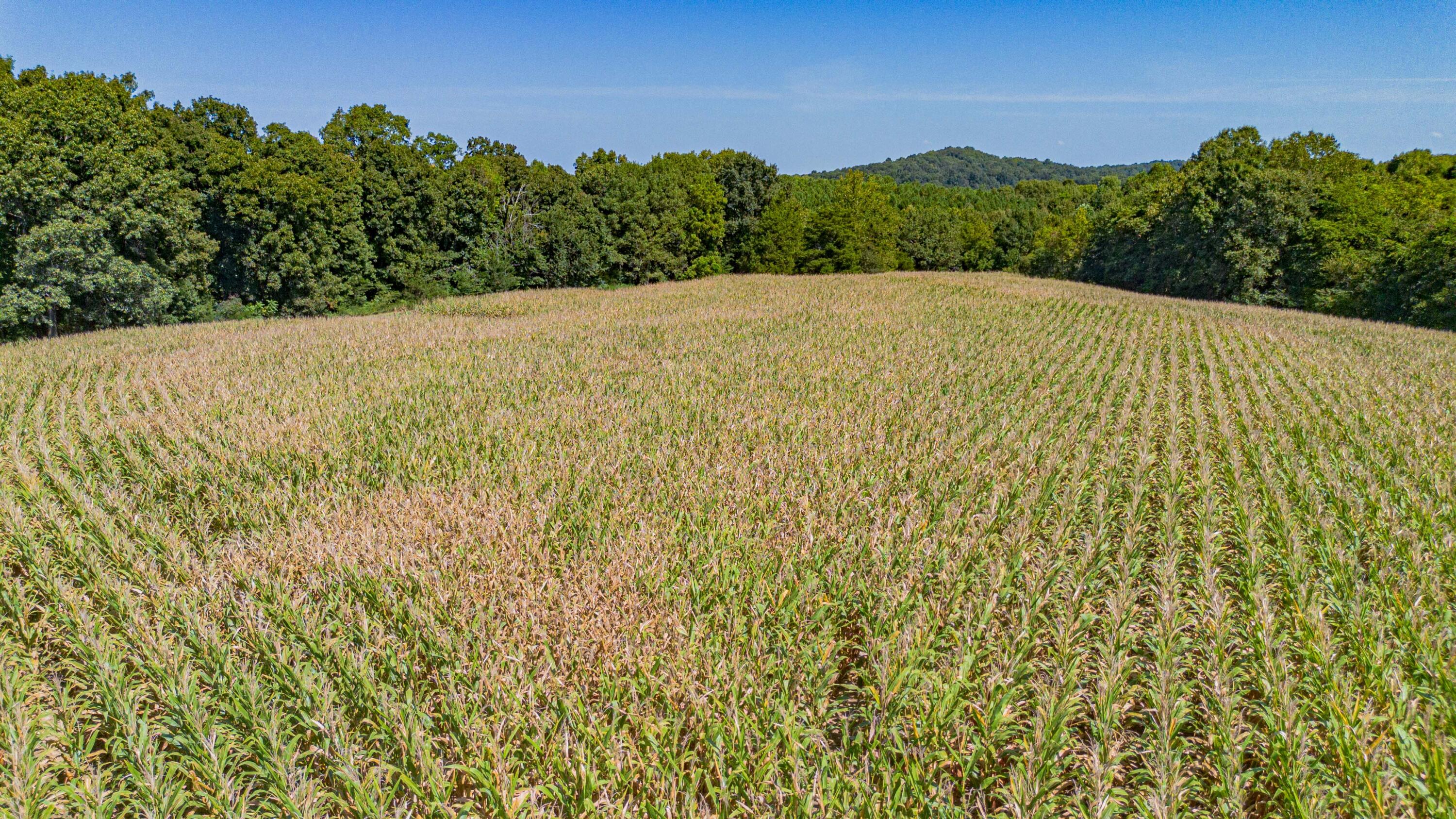 6844 Ky-120 Property Photo 9