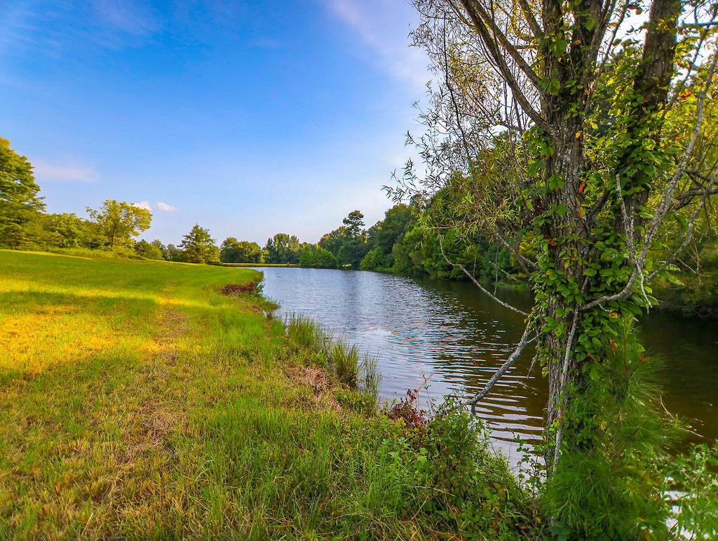 2499 Kentucky 58 Property Photo 45