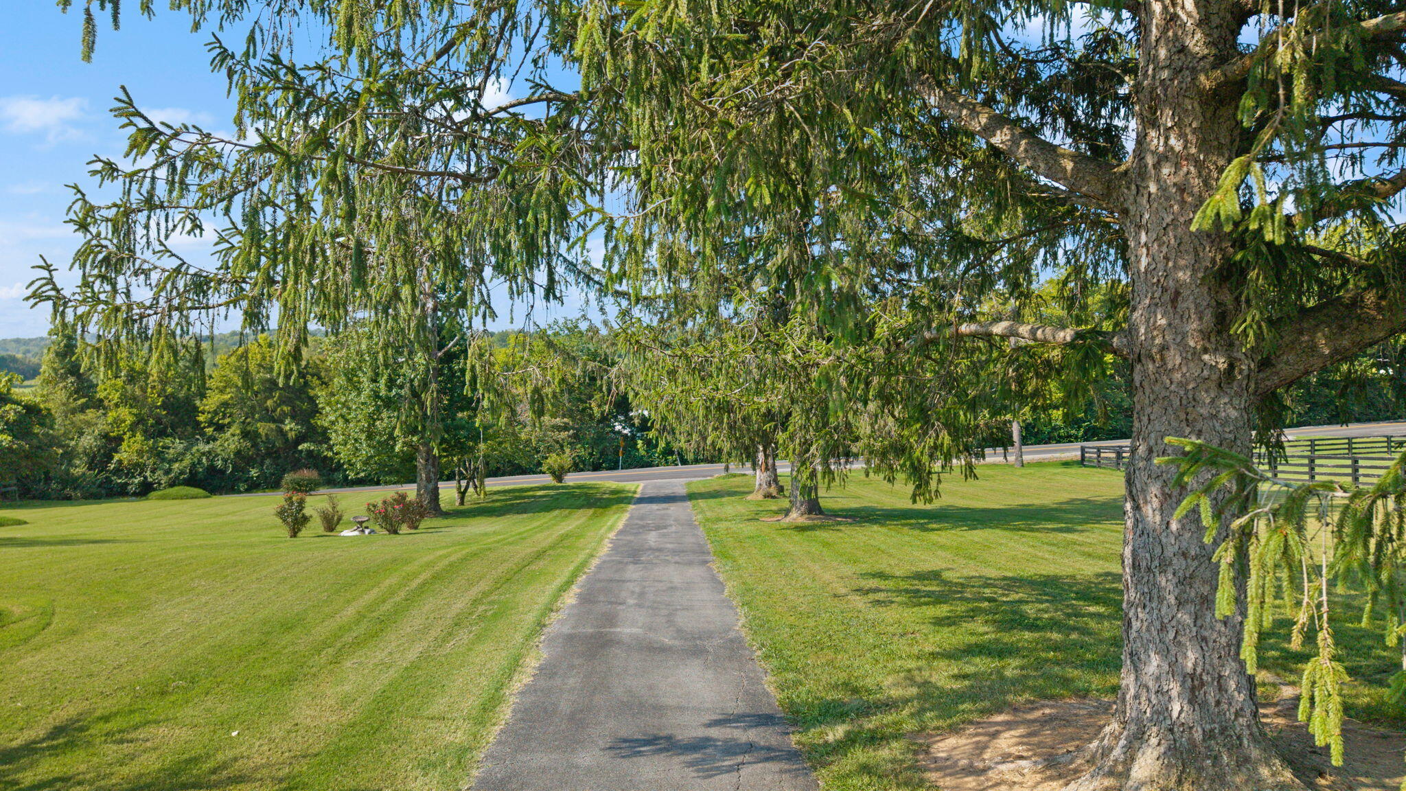702 Rogers Road Property Photo 48
