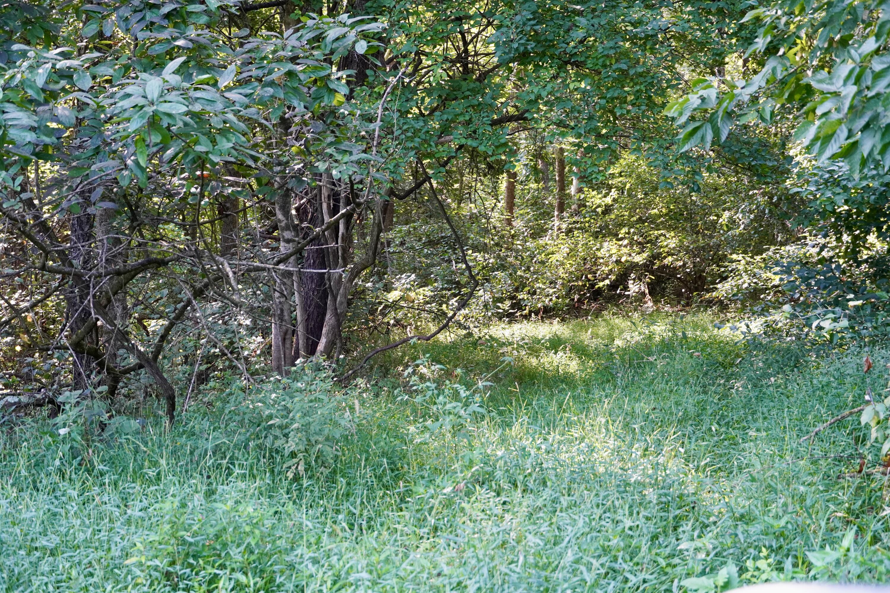 0000 Knox Lillard Road Property Photo 26