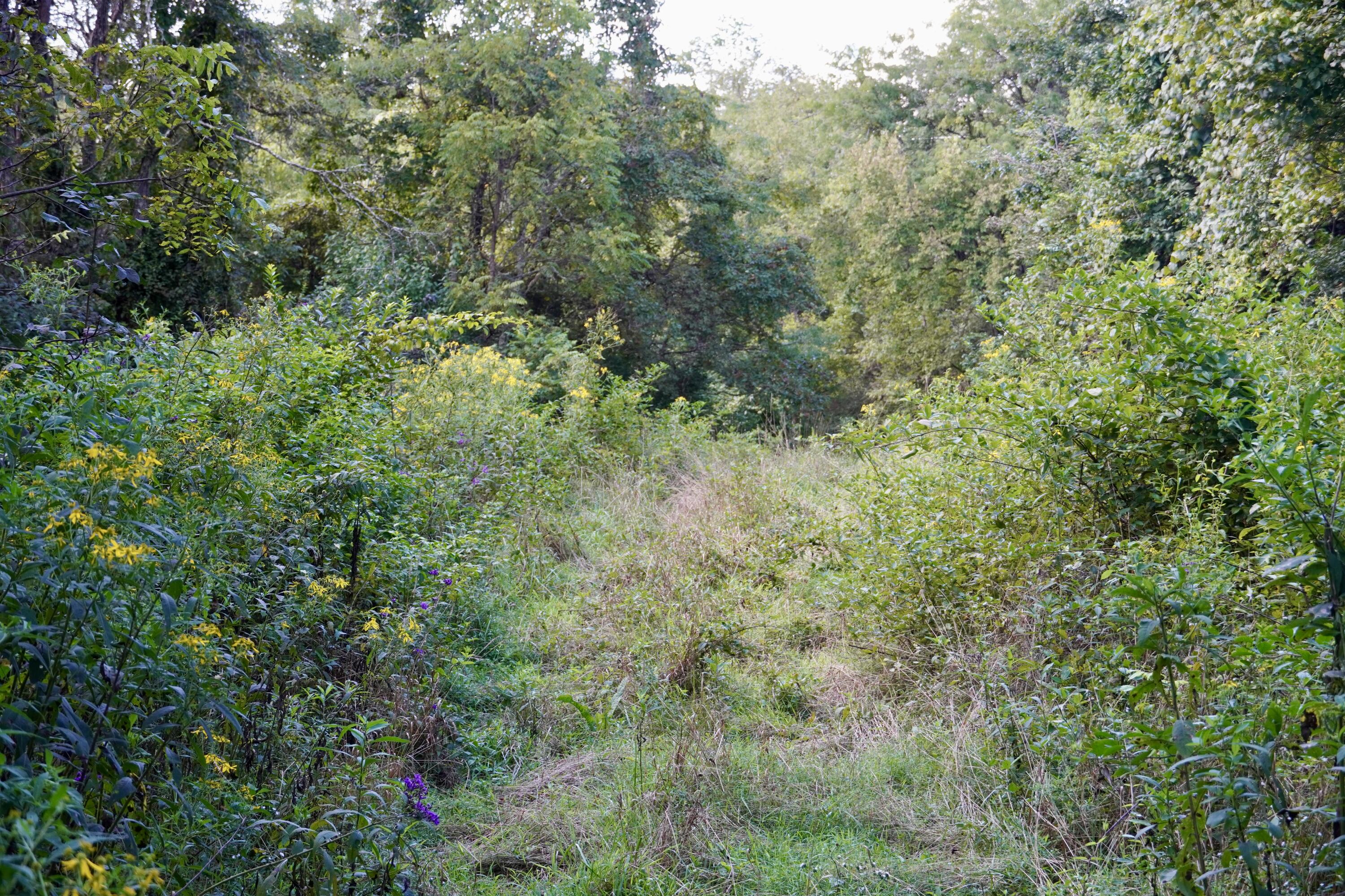 0000 Knox Lillard Road Property Photo 53