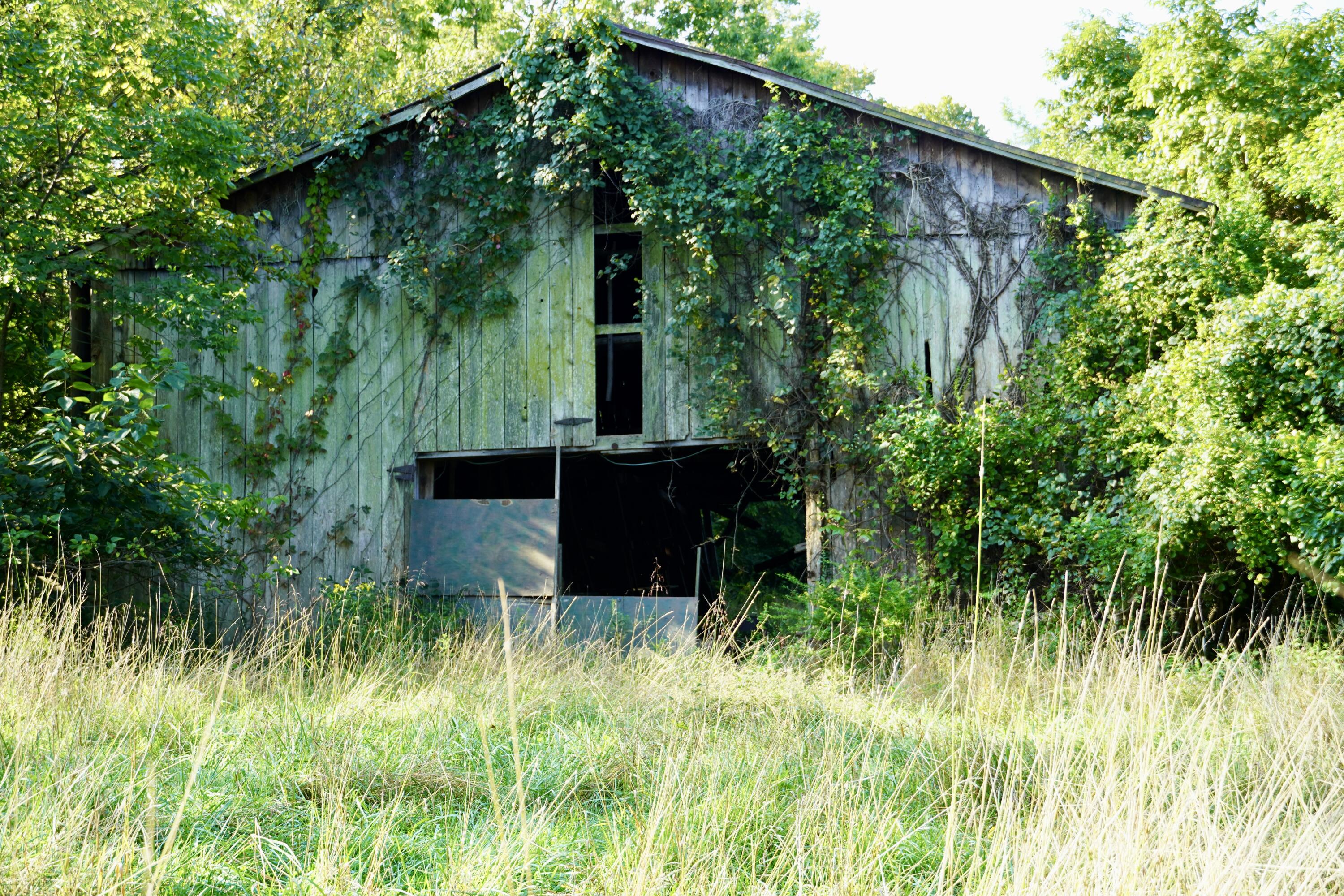 0000 Knox Lillard Road Property Photo 62