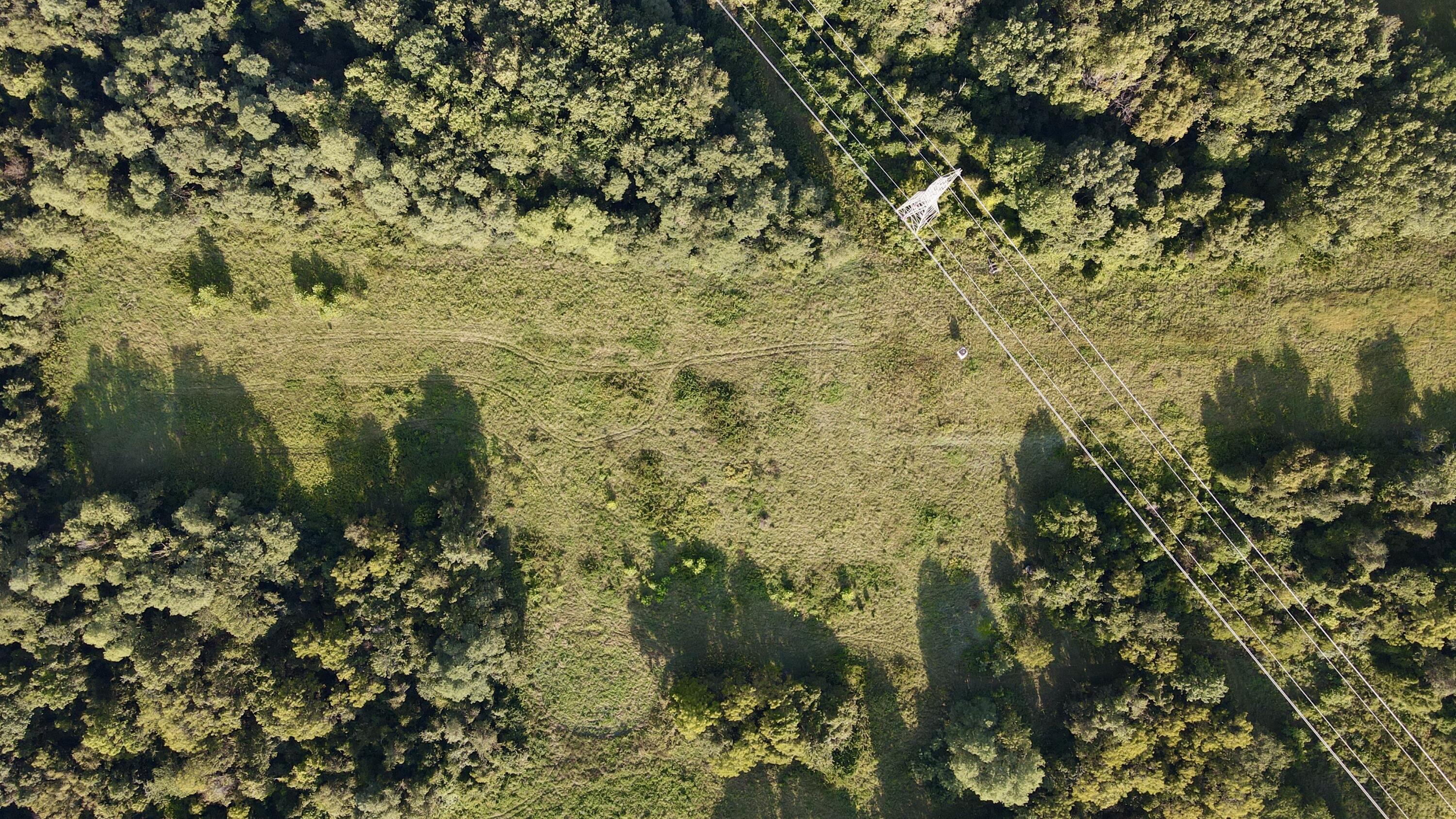 0000 Knox Lillard Road Property Photo 6