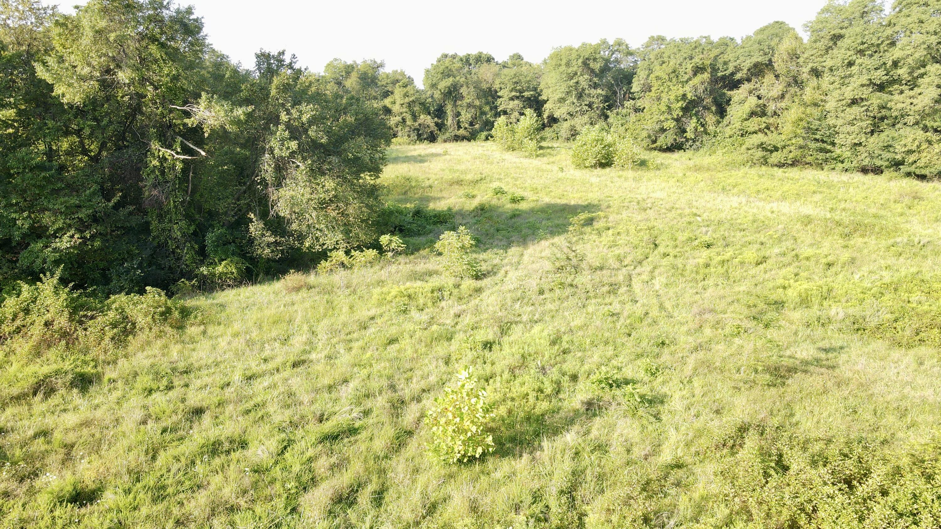 0000 Knox Lillard Road Property Photo 10