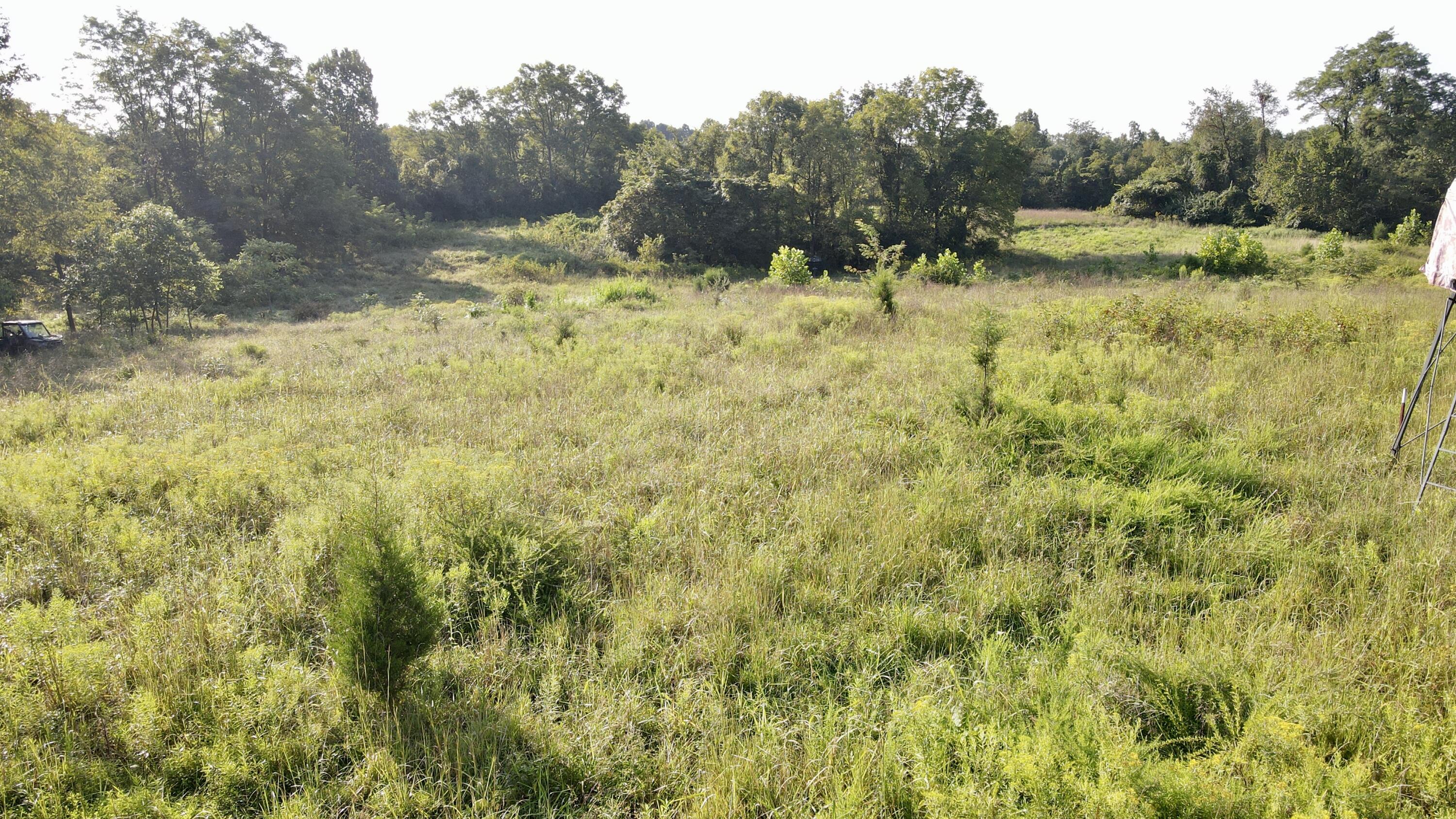 0000 Knox Lillard Road Property Photo 13