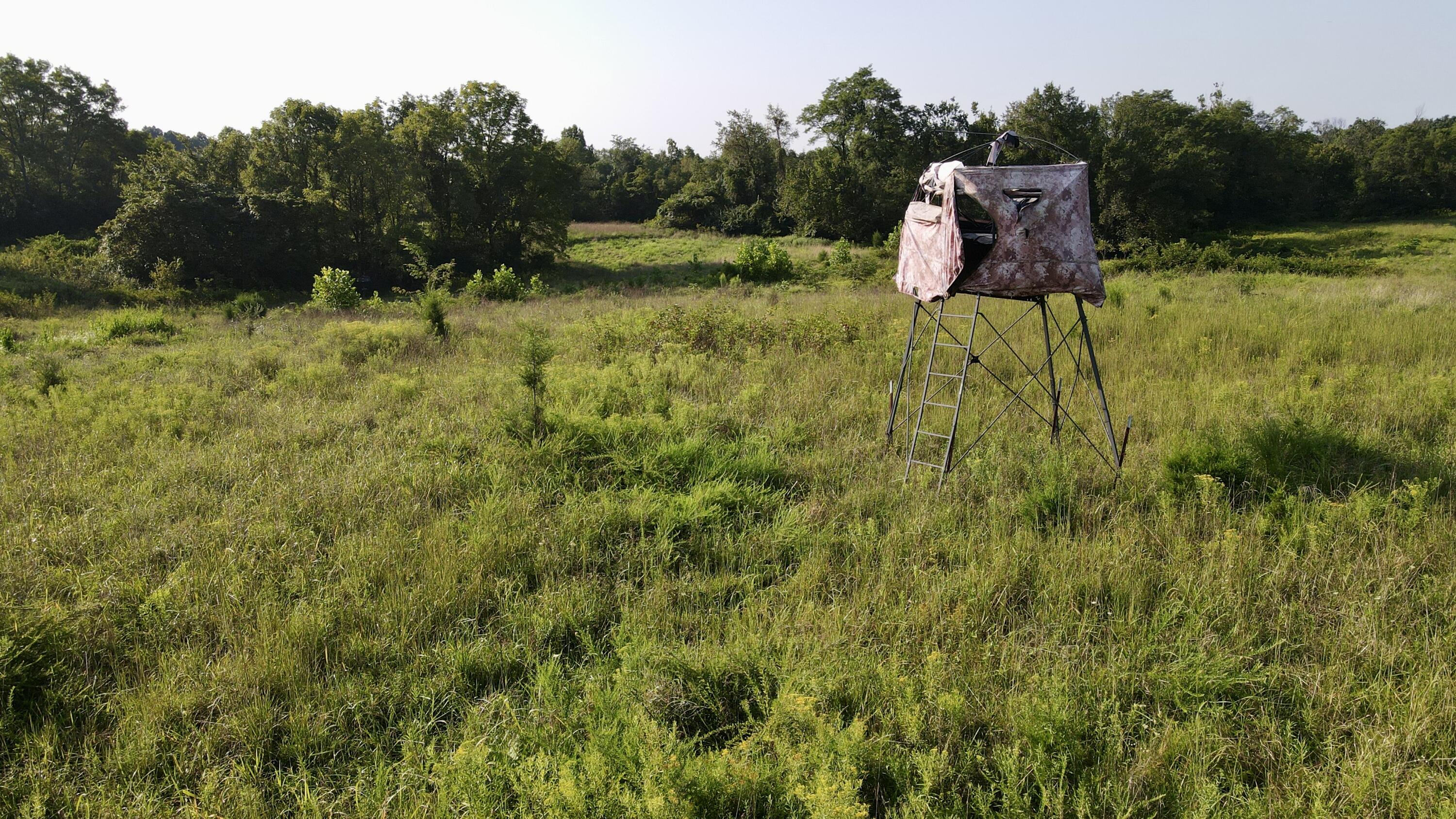 0000 Knox Lillard Road Property Photo 14