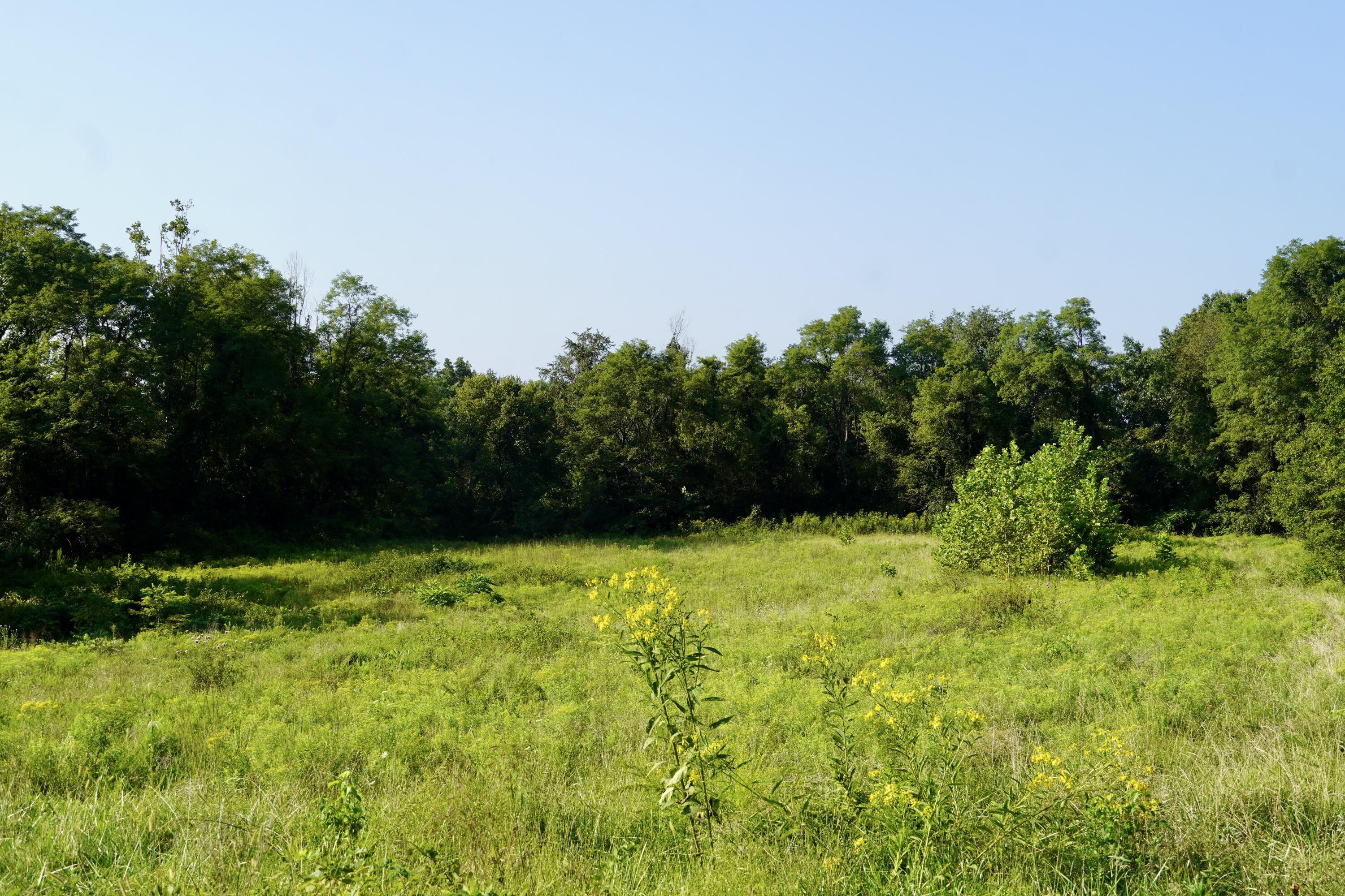 0000 Knox Lillard Road Property Photo 18