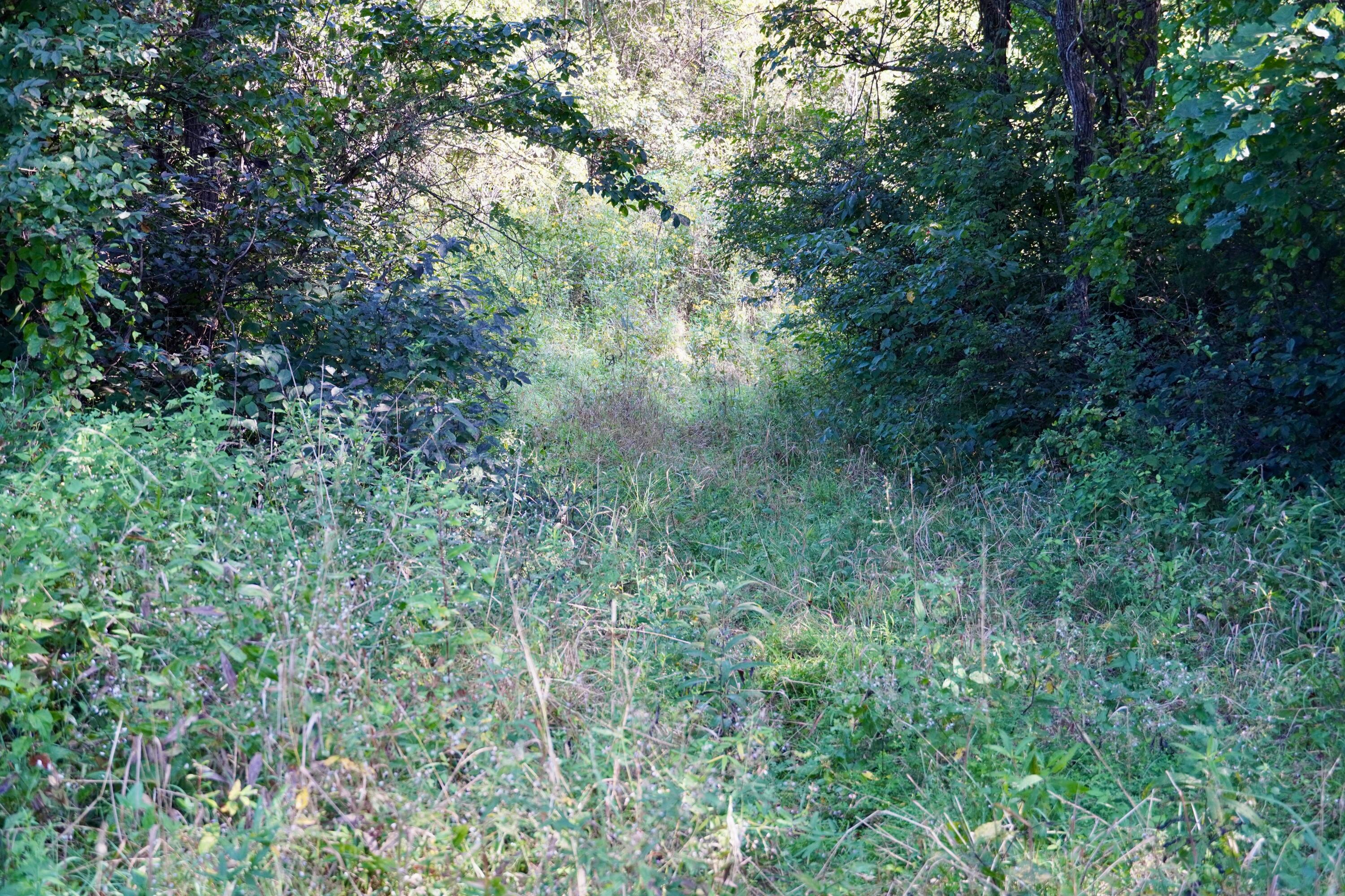 0000 Knox Lillard Road Property Photo 30