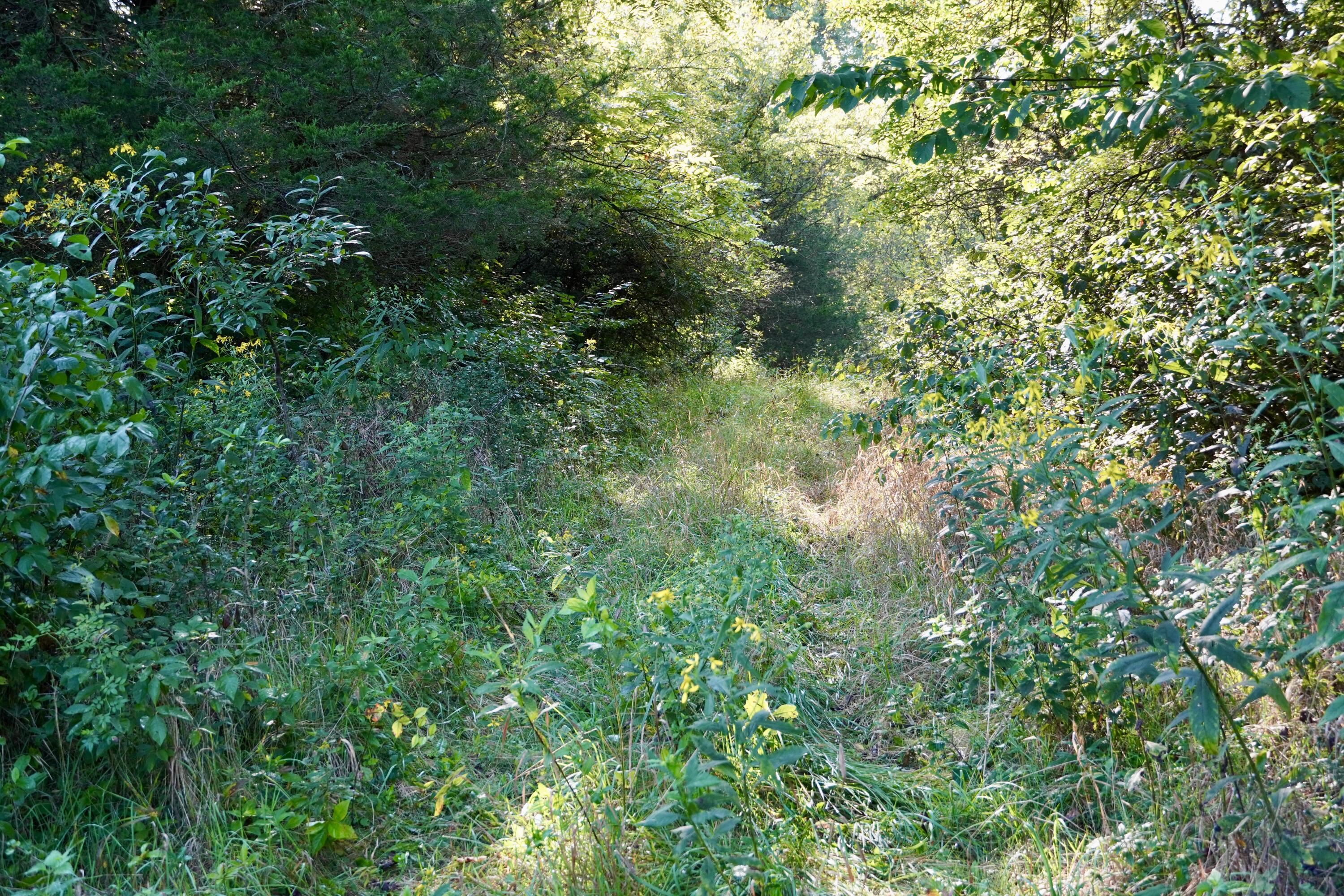 0000 Knox Lillard Road Property Photo 33