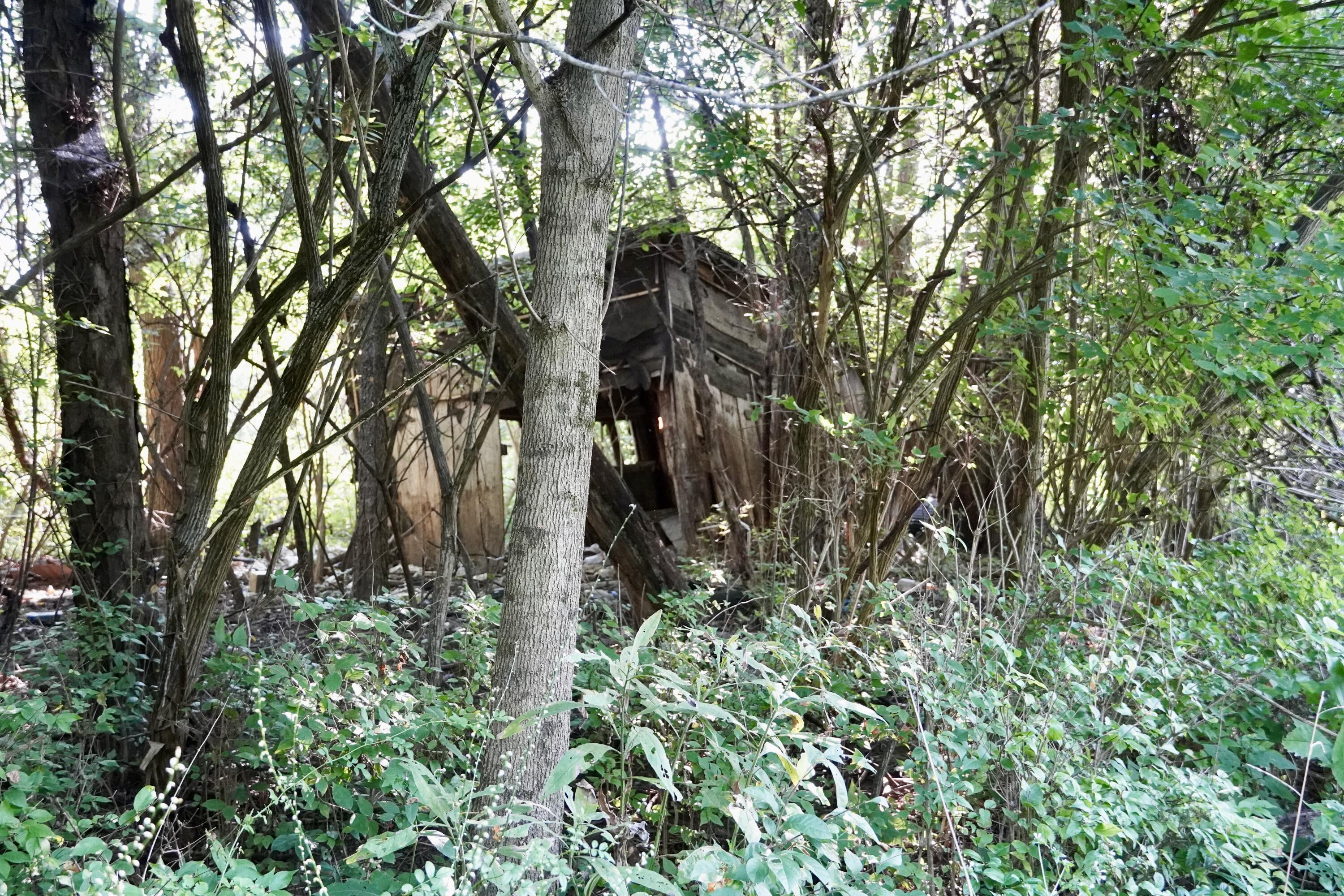 0000 Knox Lillard Road Property Photo 34