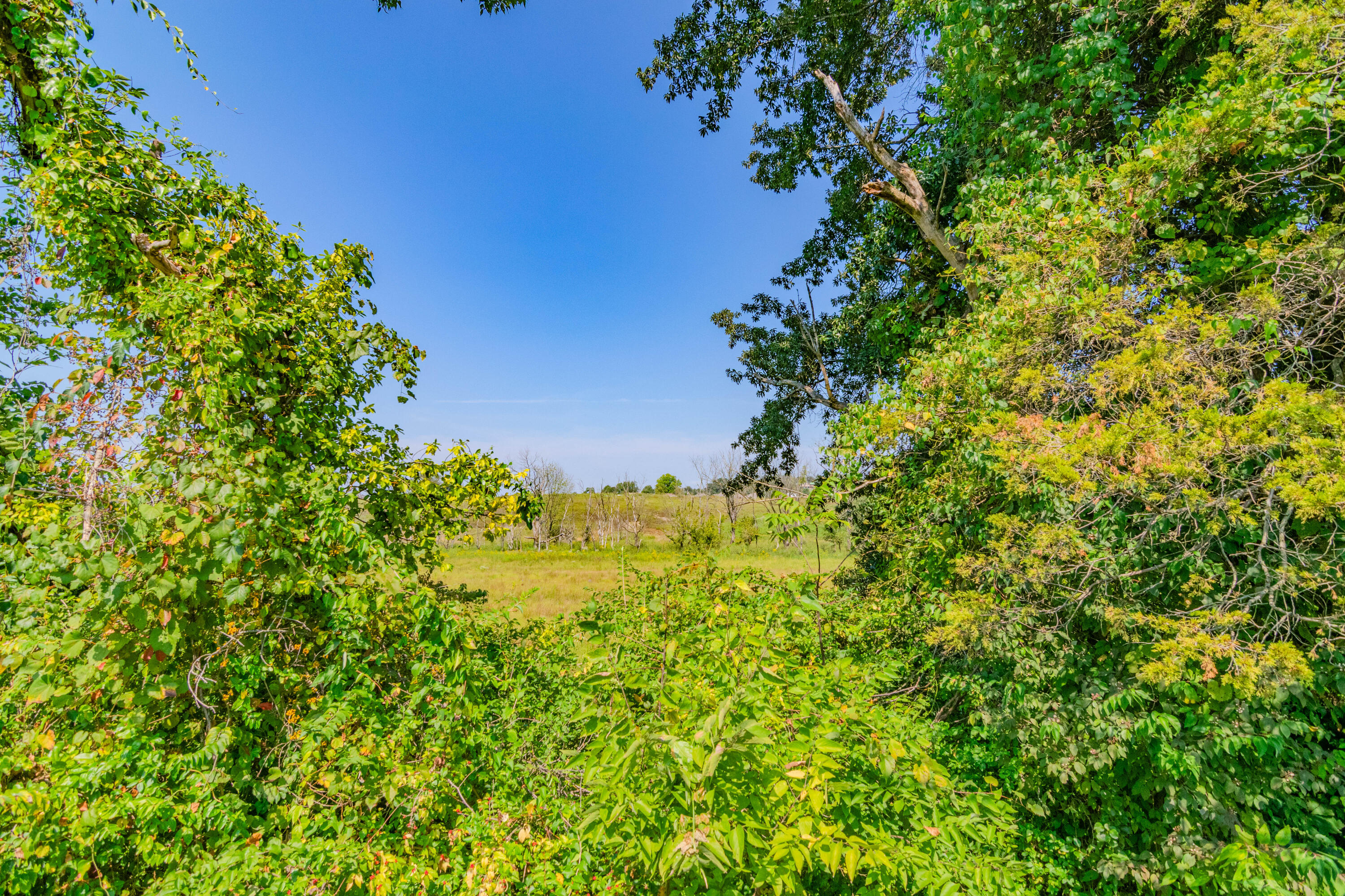 314 Peachtree Drive Property Photo 4