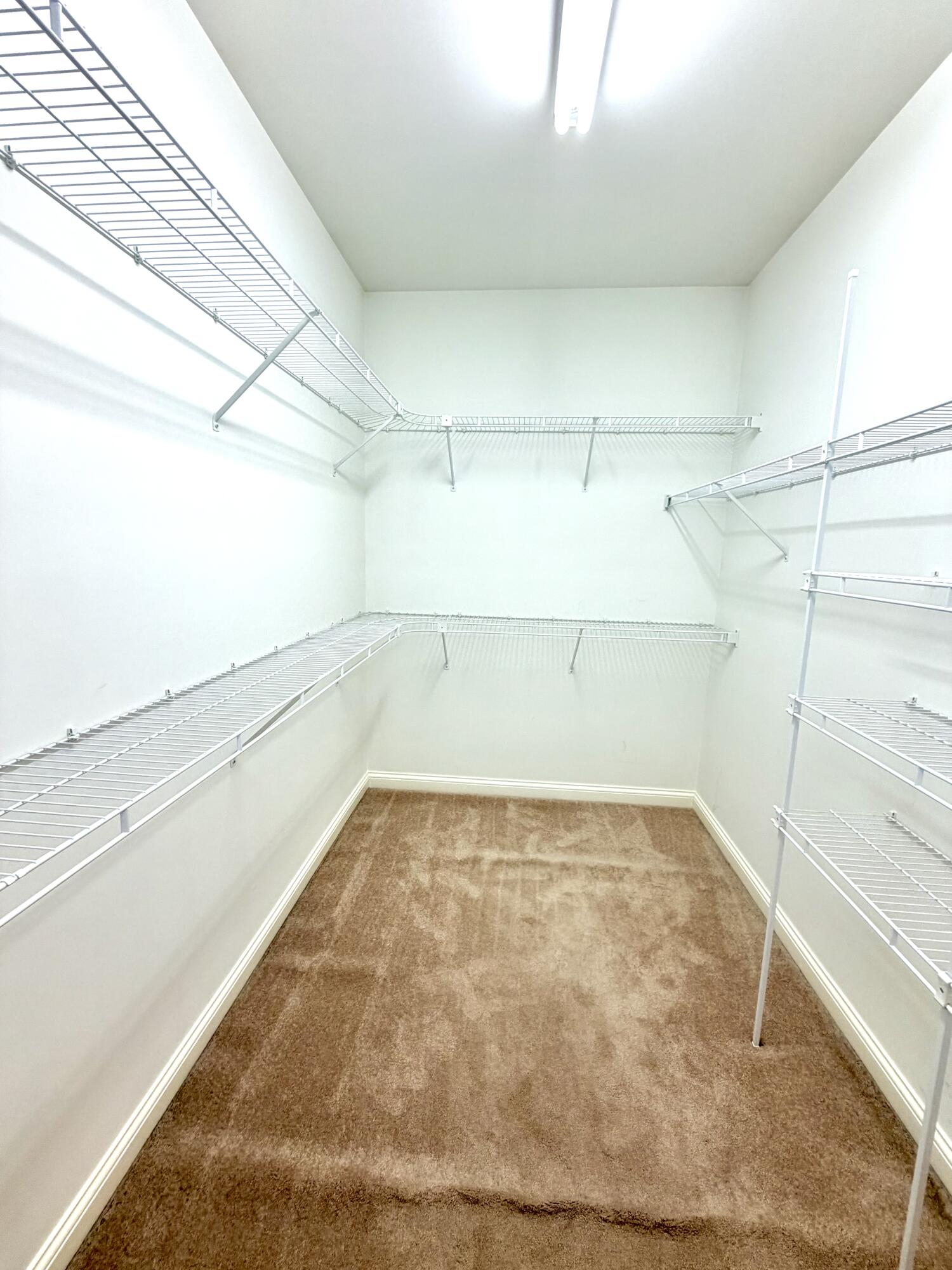 4893 Orten Drive Property Photo 15