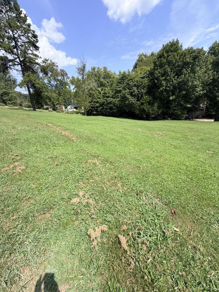107 Ross Branch Property Photo 4