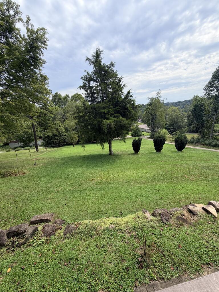 107 Ross Branch Property Photo 9