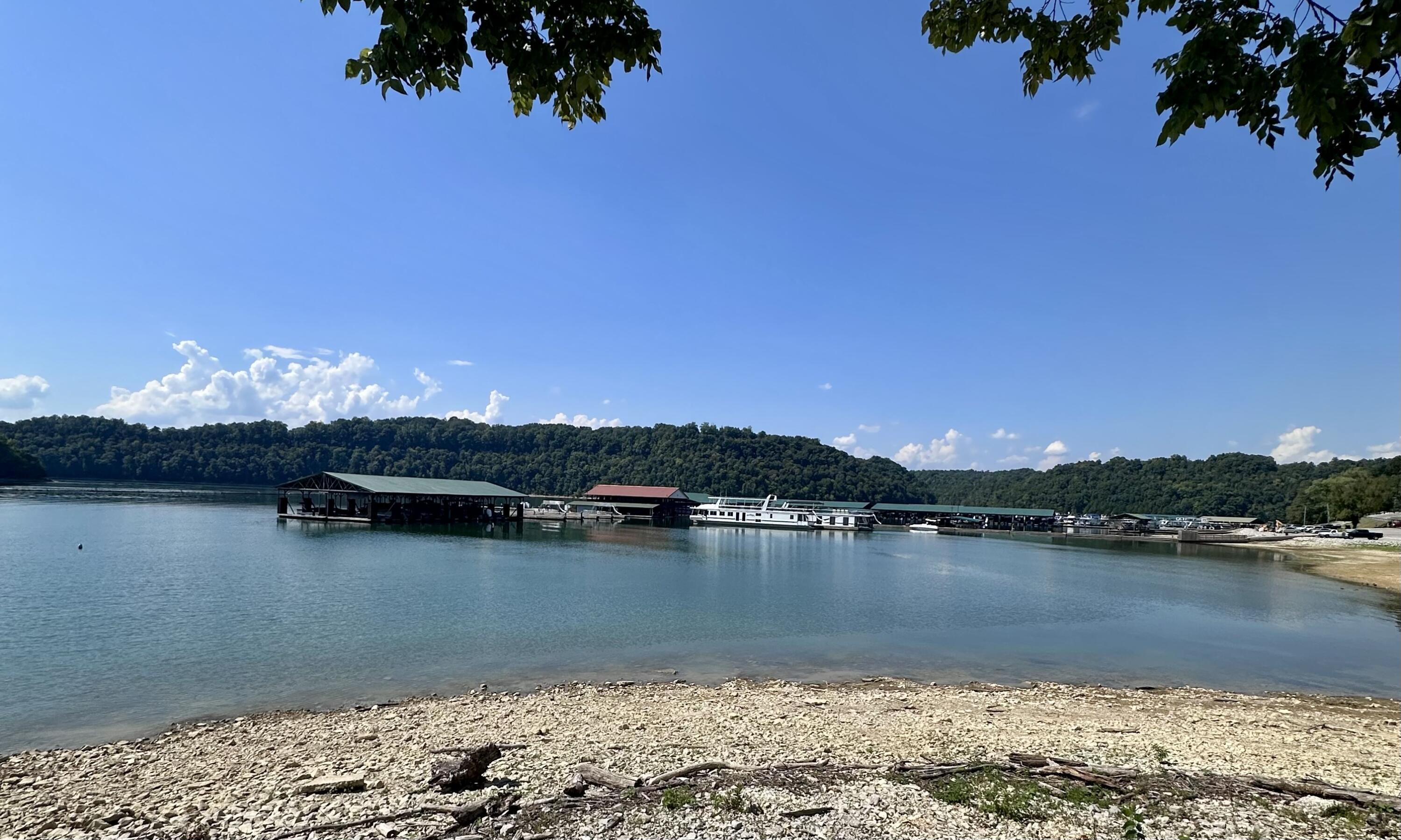 5400 Wolf River Dock Road Property Photo 3