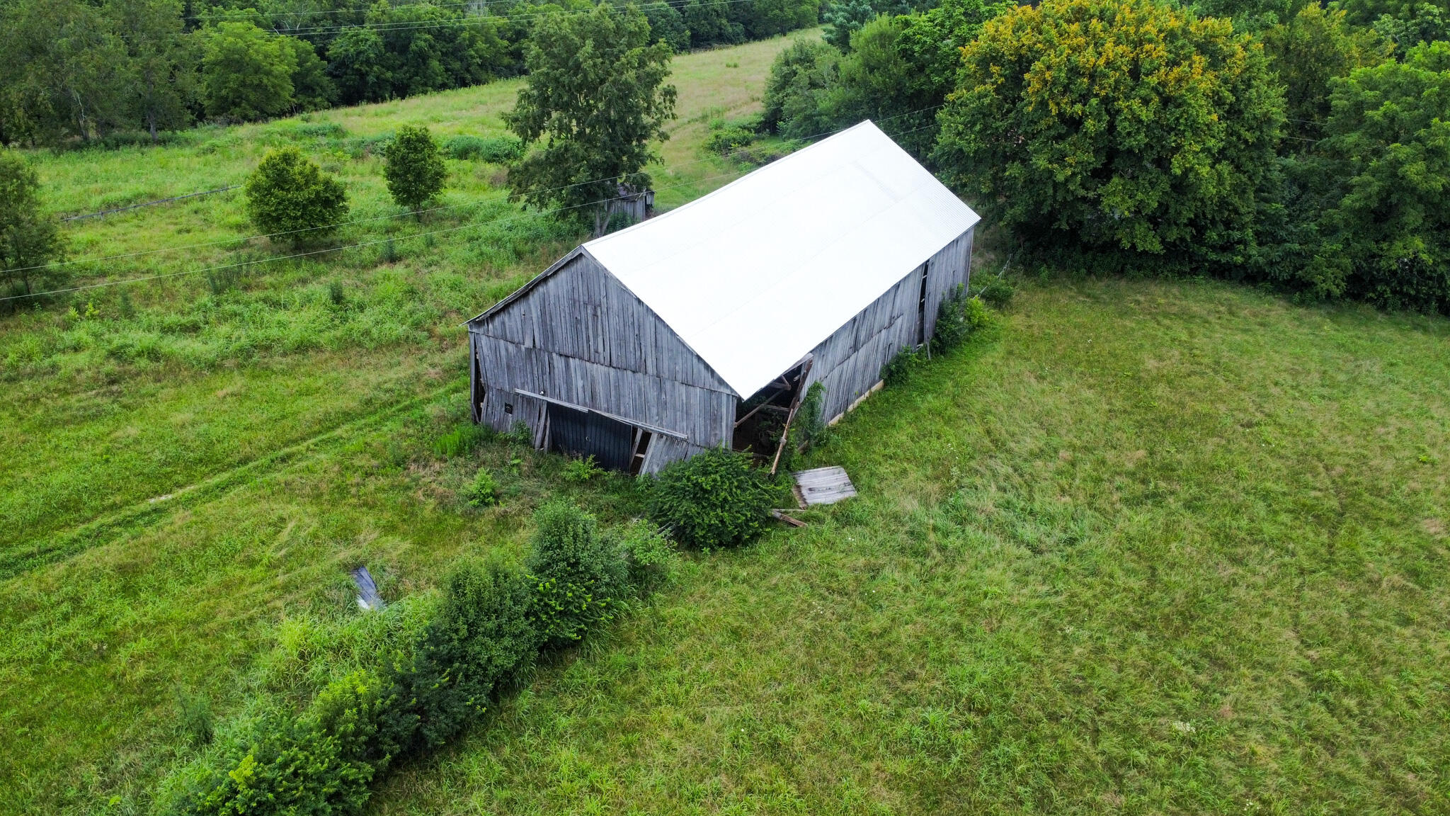 1233 Corman Lane Property Photo 4