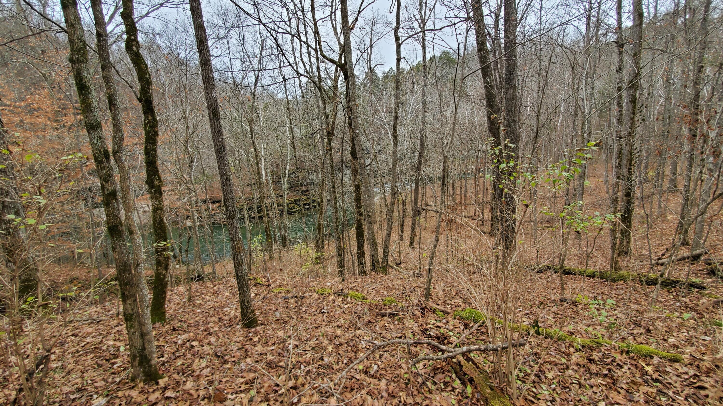 1233 Corman Lane Property Photo 9