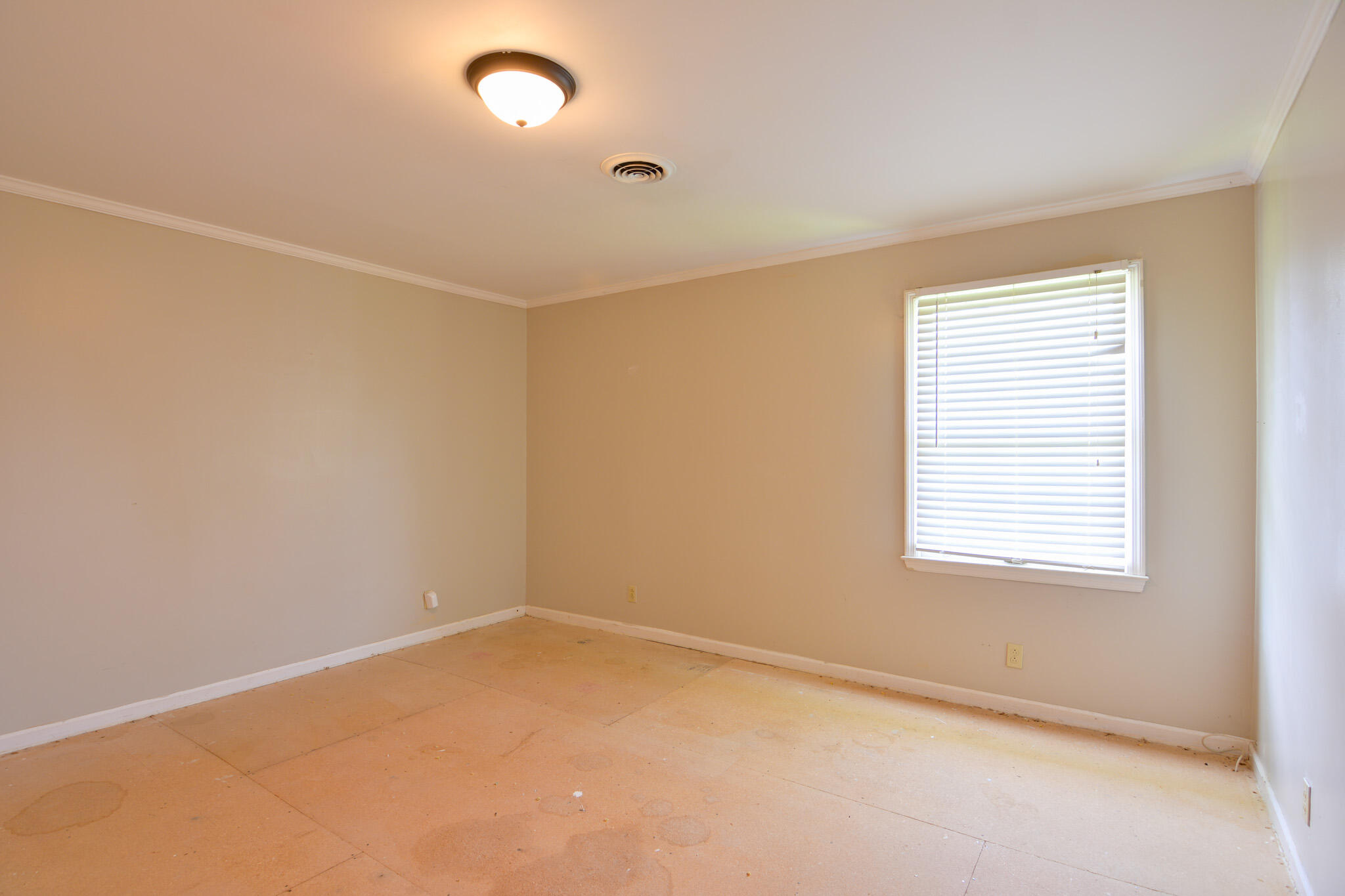 1233 Corman Lane Property Photo 15