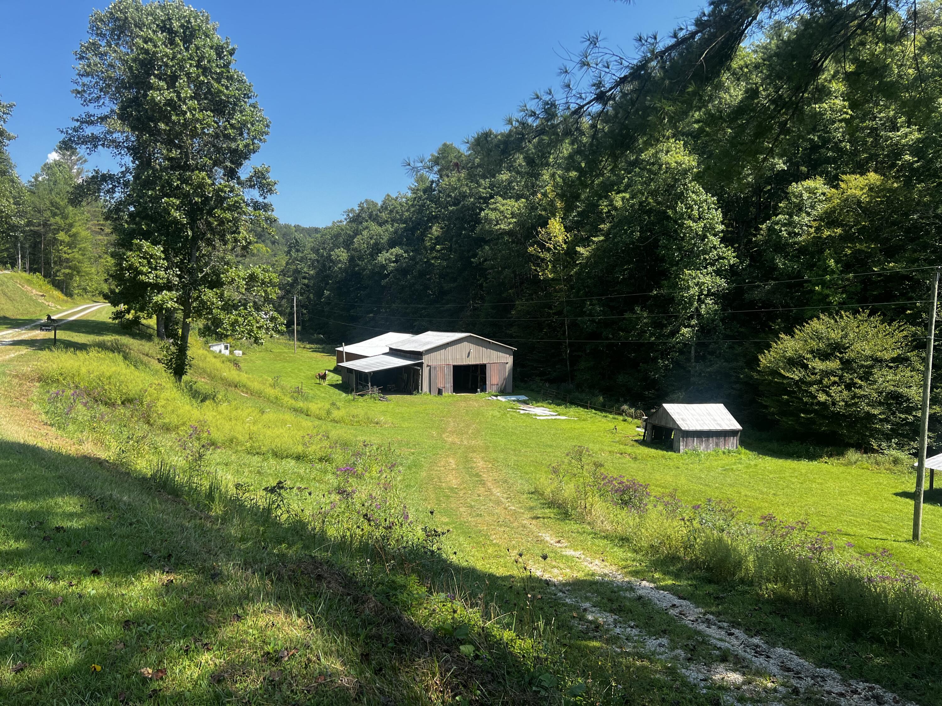 523 King Branch Road Property Photo 2