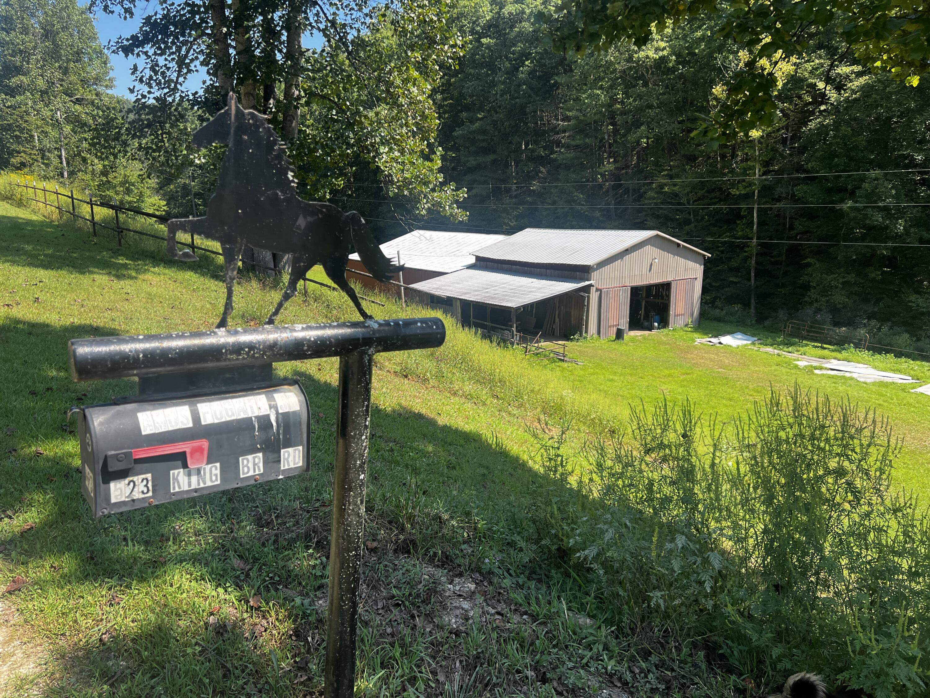 523 King Branch Road Property Photo 10