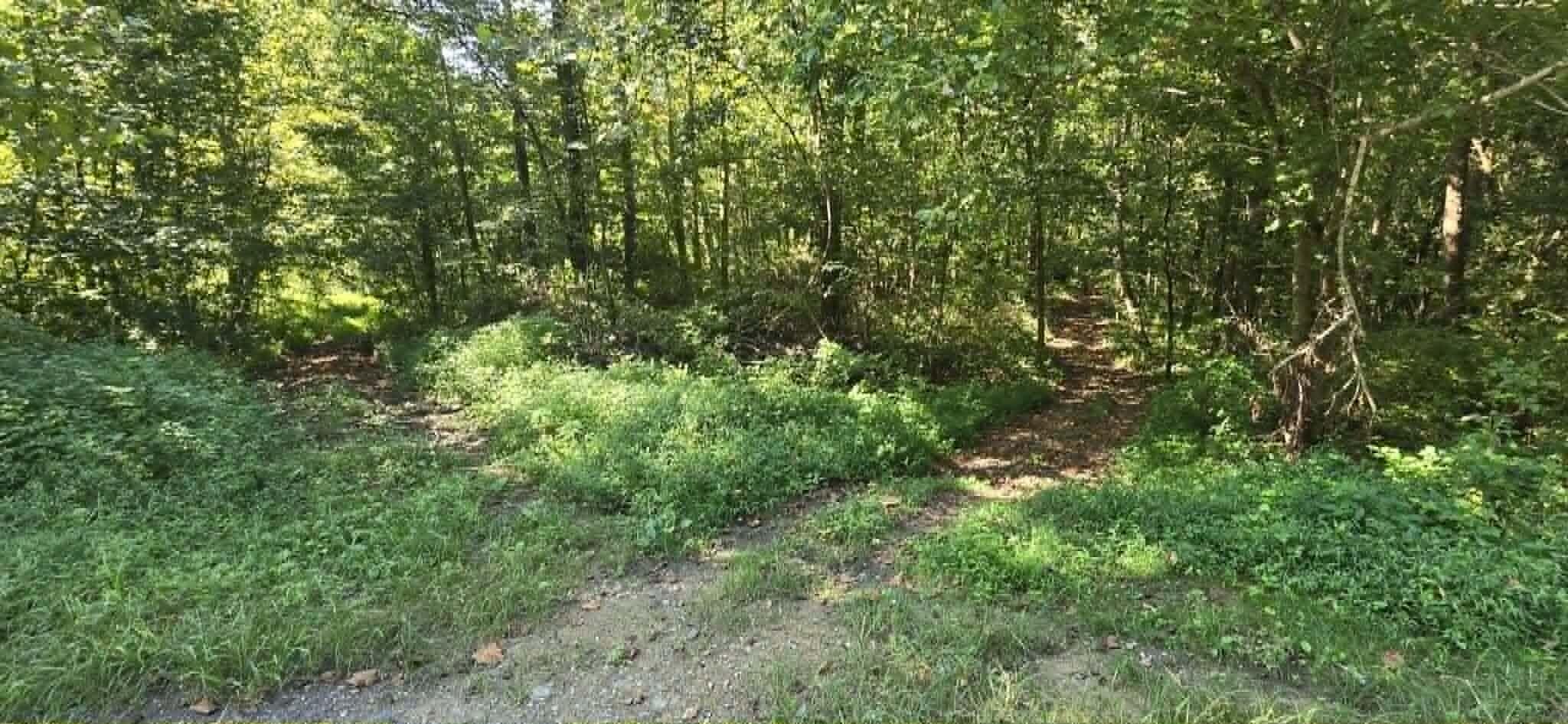 9999 Dora Clark Branch Rd Road Property Photo 10