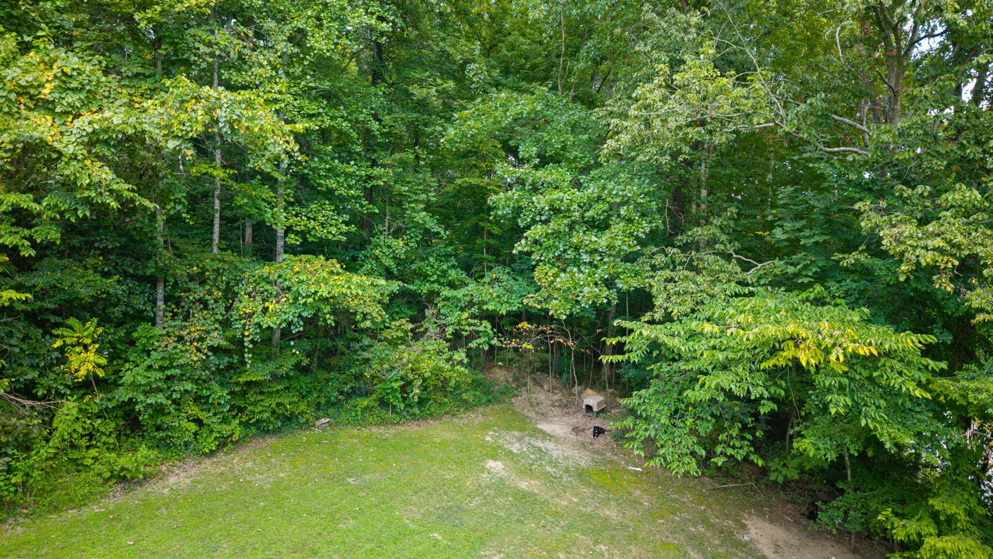 16202 16202 State Highway 200 Property Photo 3
