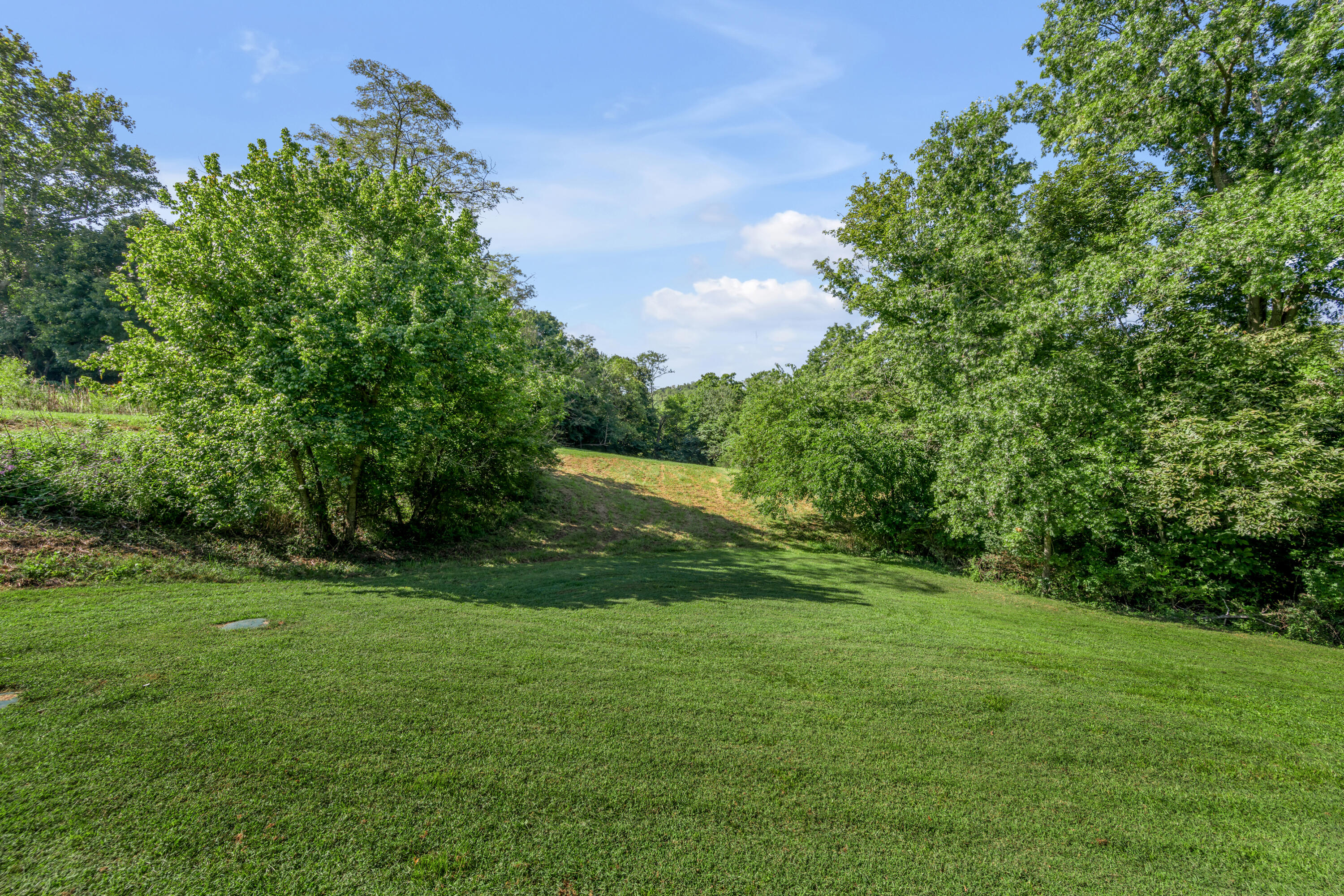 3072 Sugar Creek Pike Property Photo 60